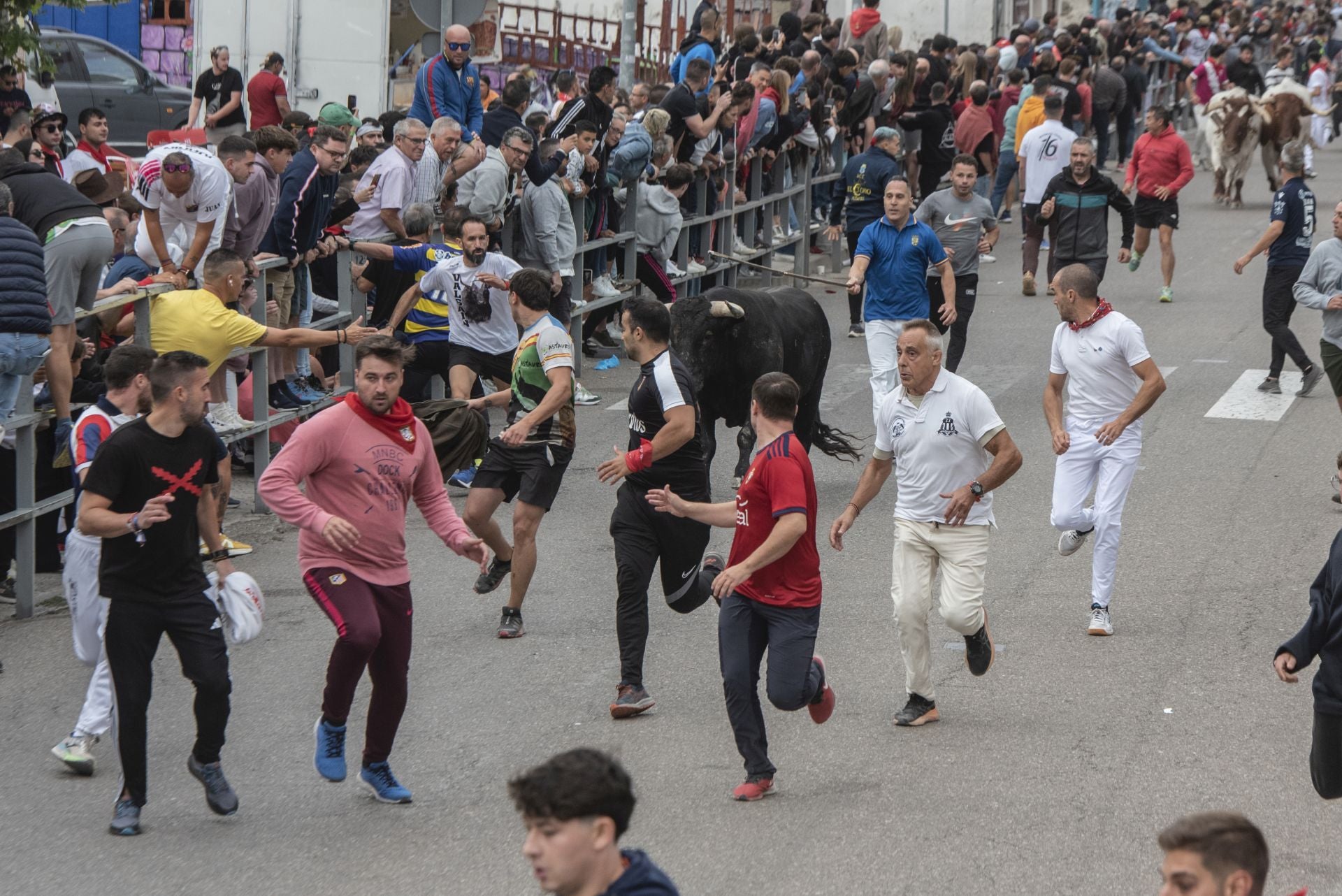 Fotos del tramo urbano del primer encierro de Cuéllar
