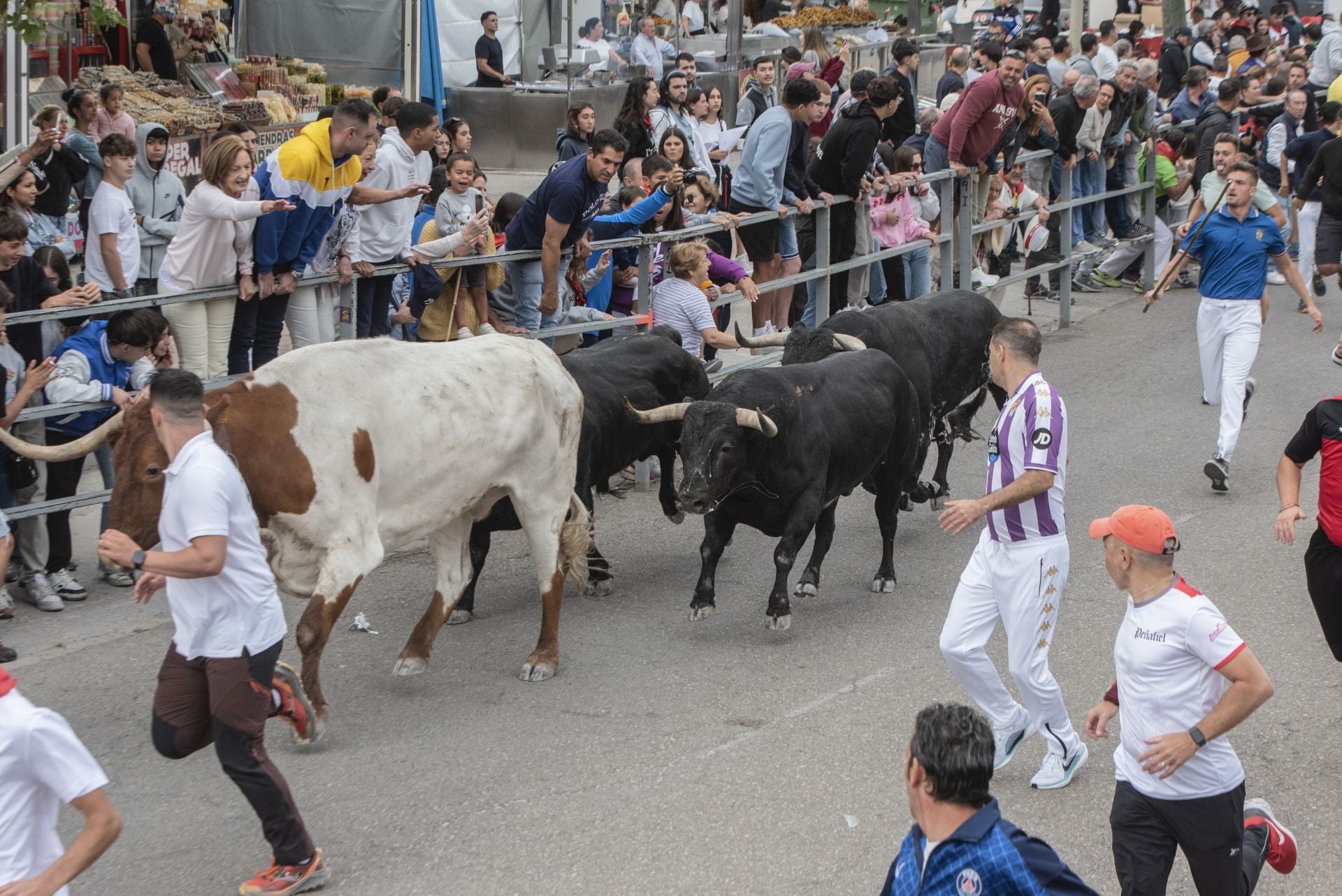 Fotos del tramo urbano del primer encierro de Cuéllar
