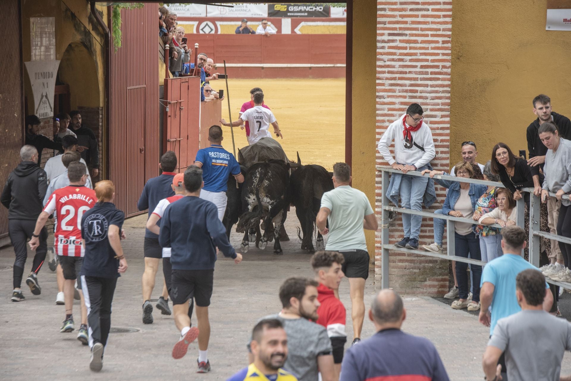 Fotos del tramo urbano del primer encierro de Cuéllar