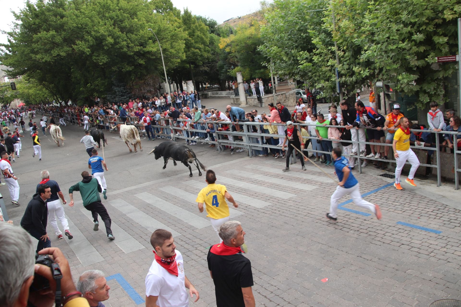 Fotos del tramo urbano del primer encierro de Cuéllar
