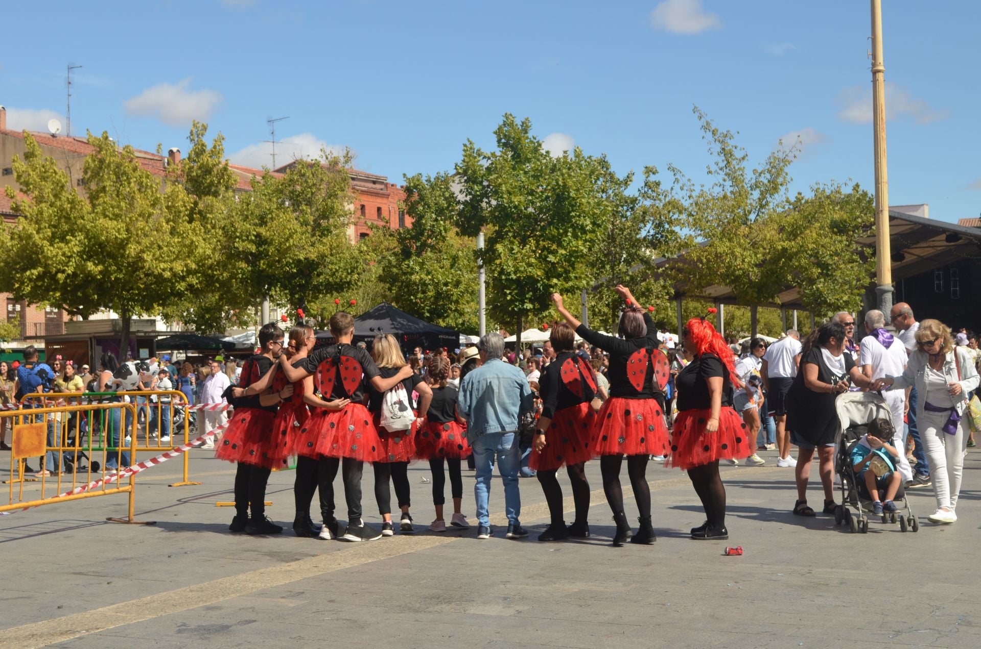 Las imágenes de la colocación de la bandera en Medina del Campo