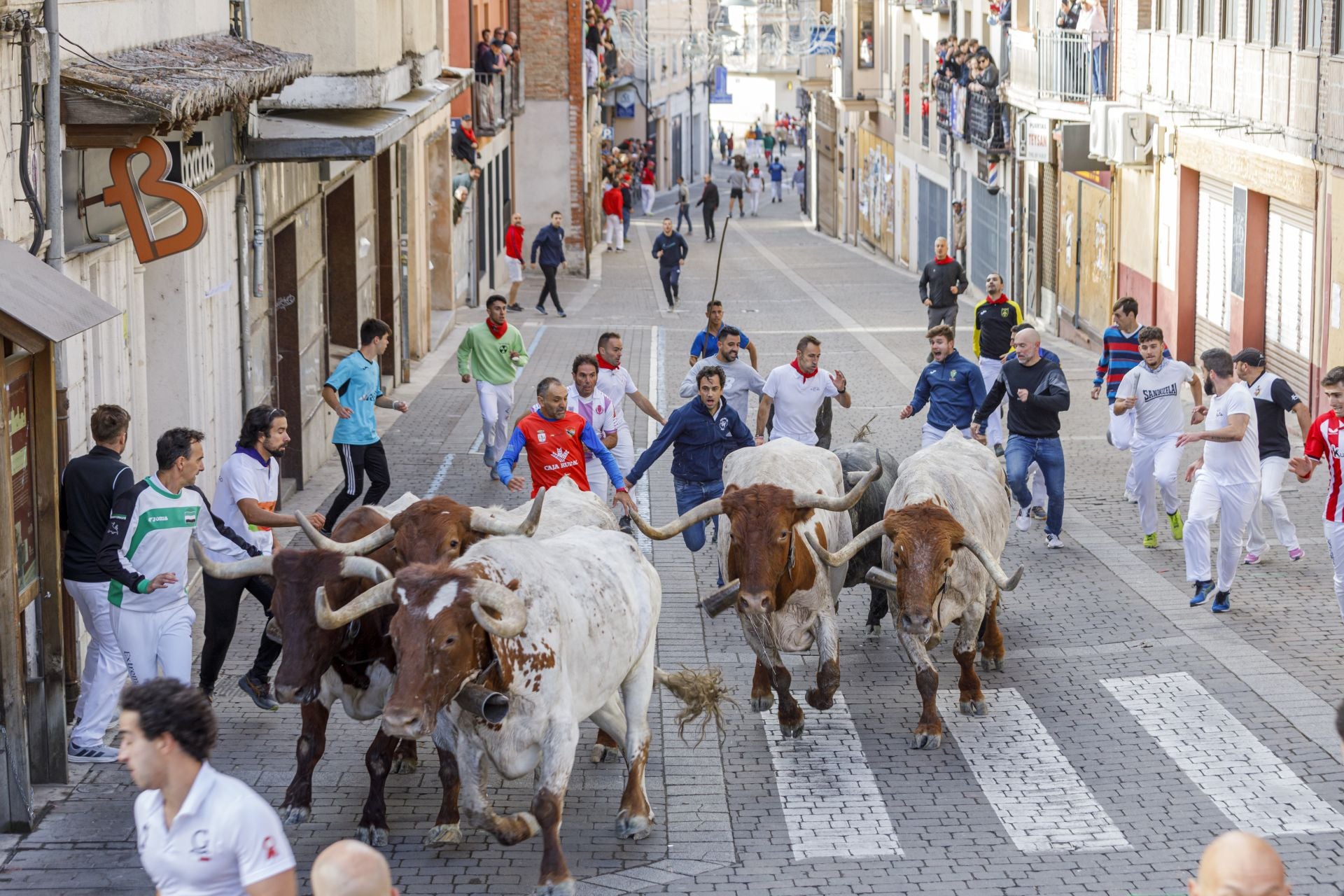 Fotos del segundo encierro de Cuéllar en el tramo urbano