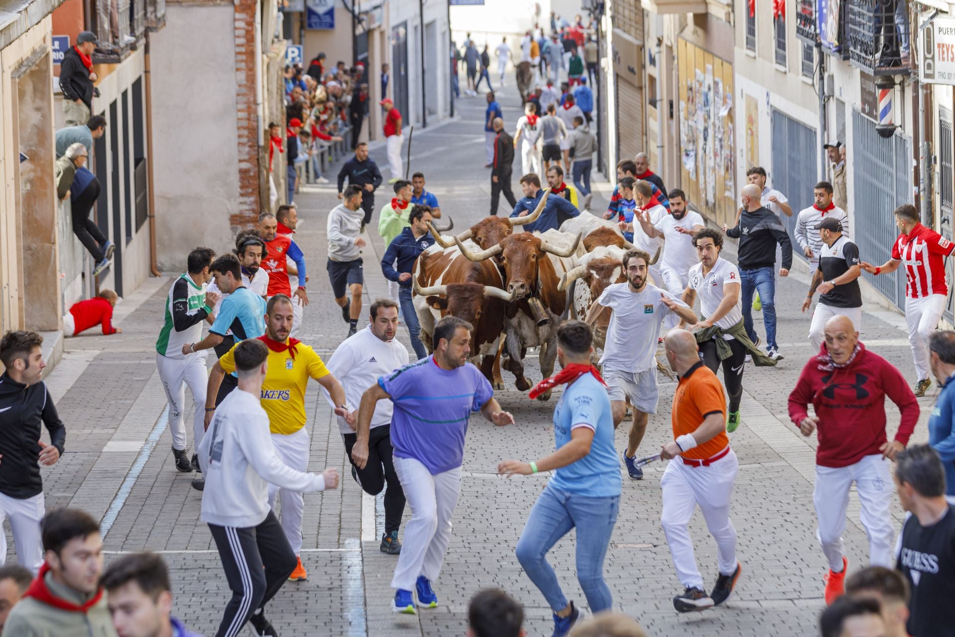 Fotos del segundo encierro de Cuéllar en el tramo urbano
