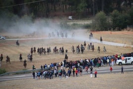 Fotos del segundo encierro de Cuéllar por el campo y el pinar