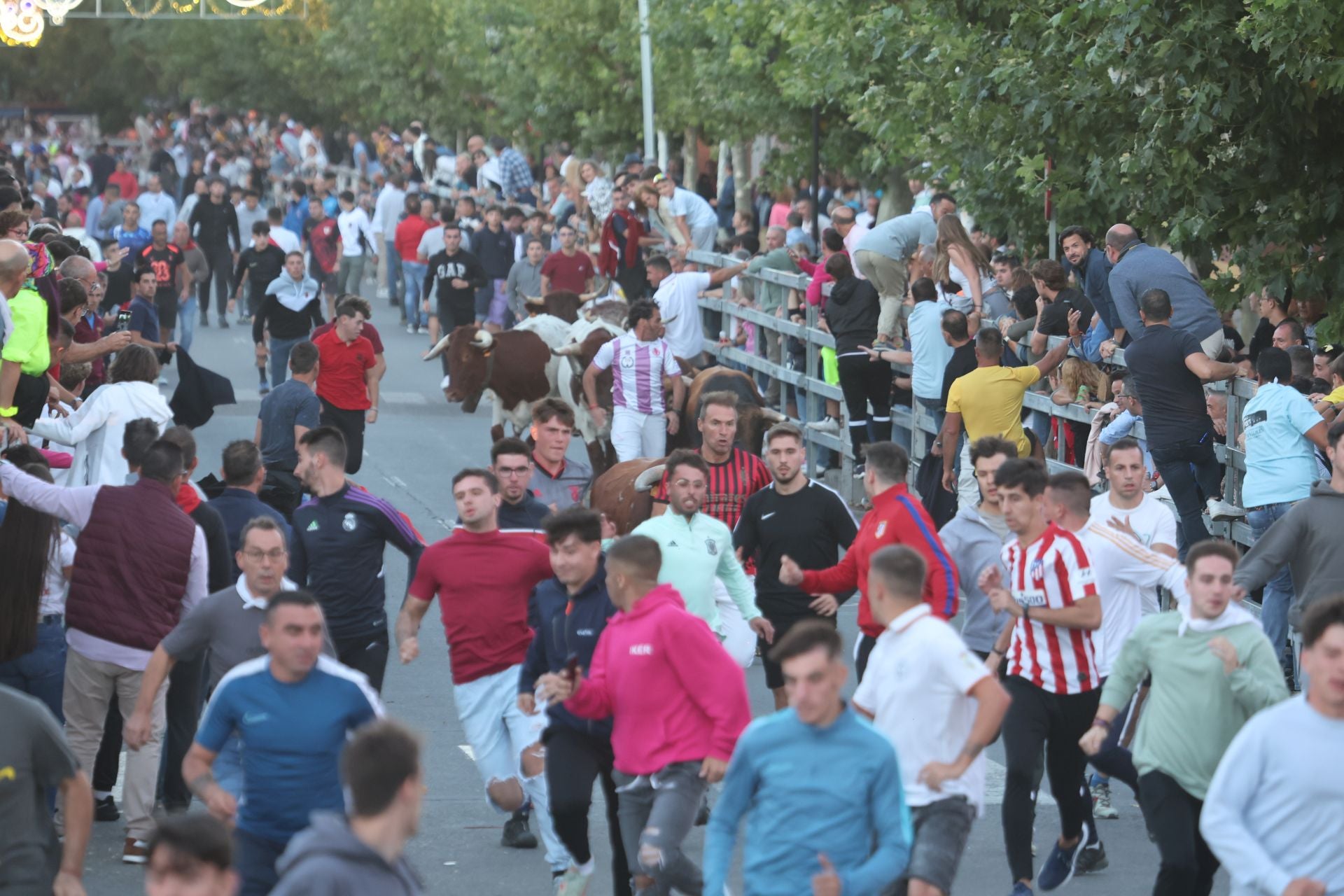 El encierro de Medina del Campo, en imágenes
