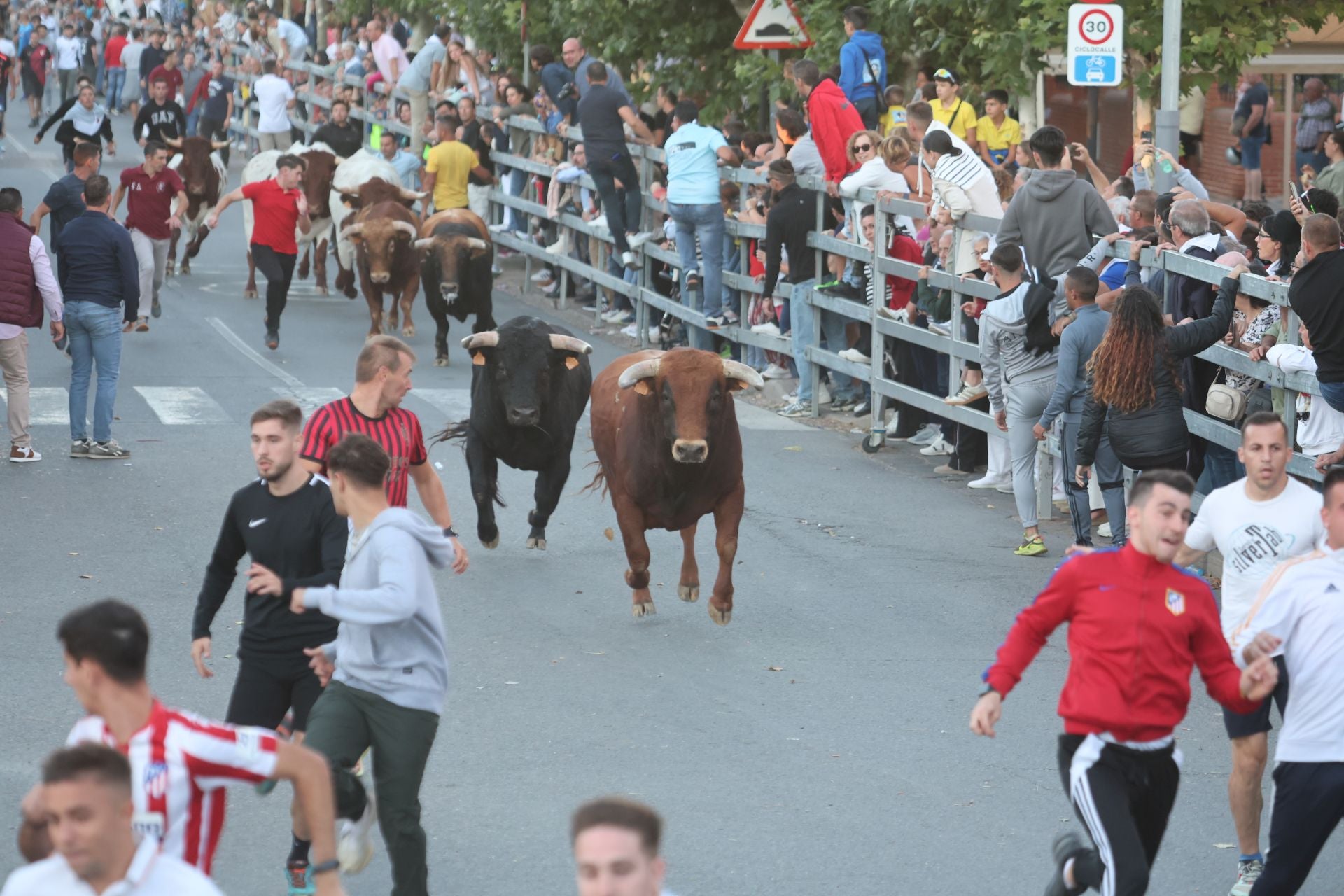 El encierro de Medina del Campo, en imágenes