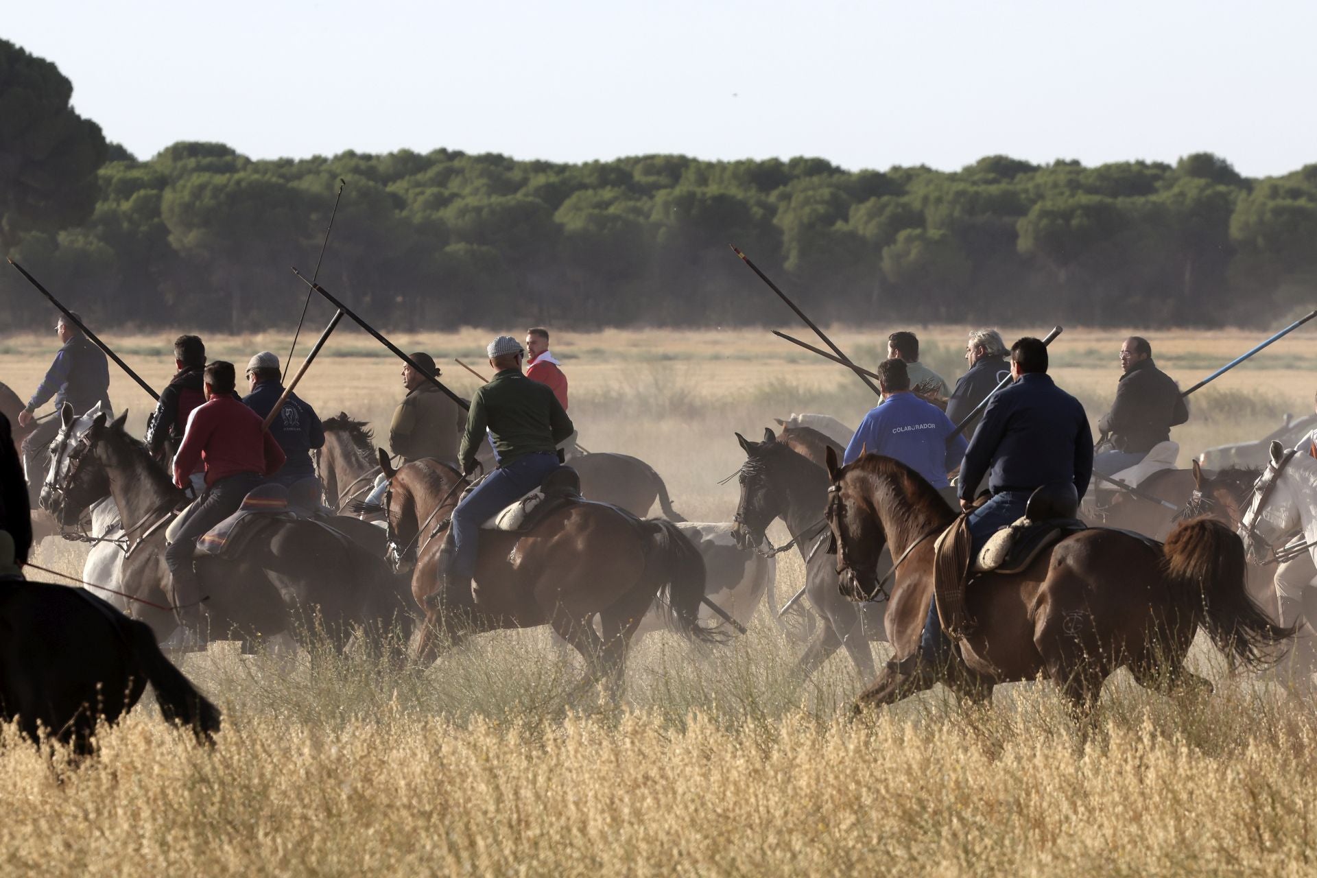 Las imágenes del encierro con seis toros de la ganadería Zahorí en Medina del Campo