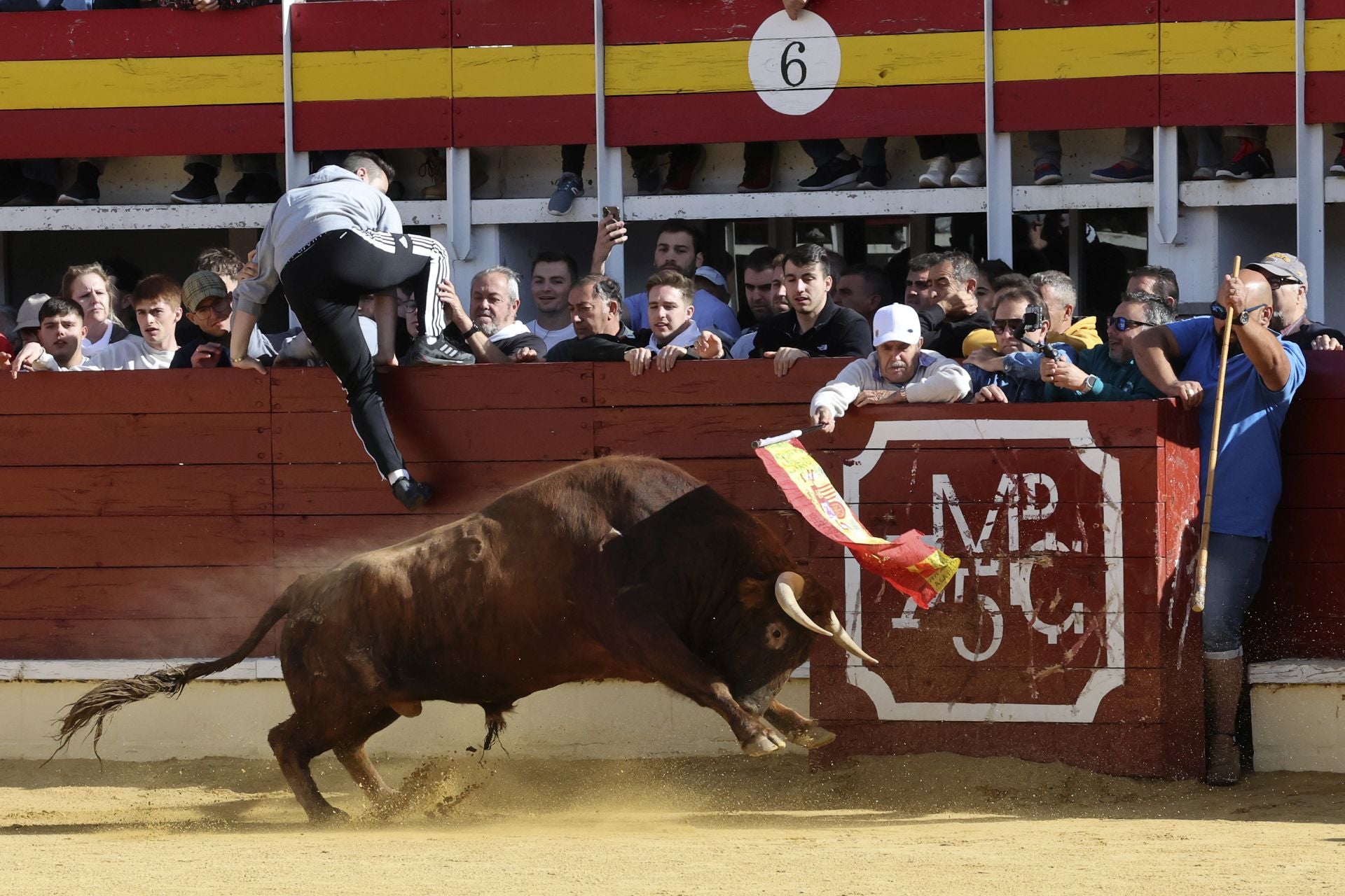Las imágenes del encierro con seis toros de la ganadería Zahorí en Medina del Campo