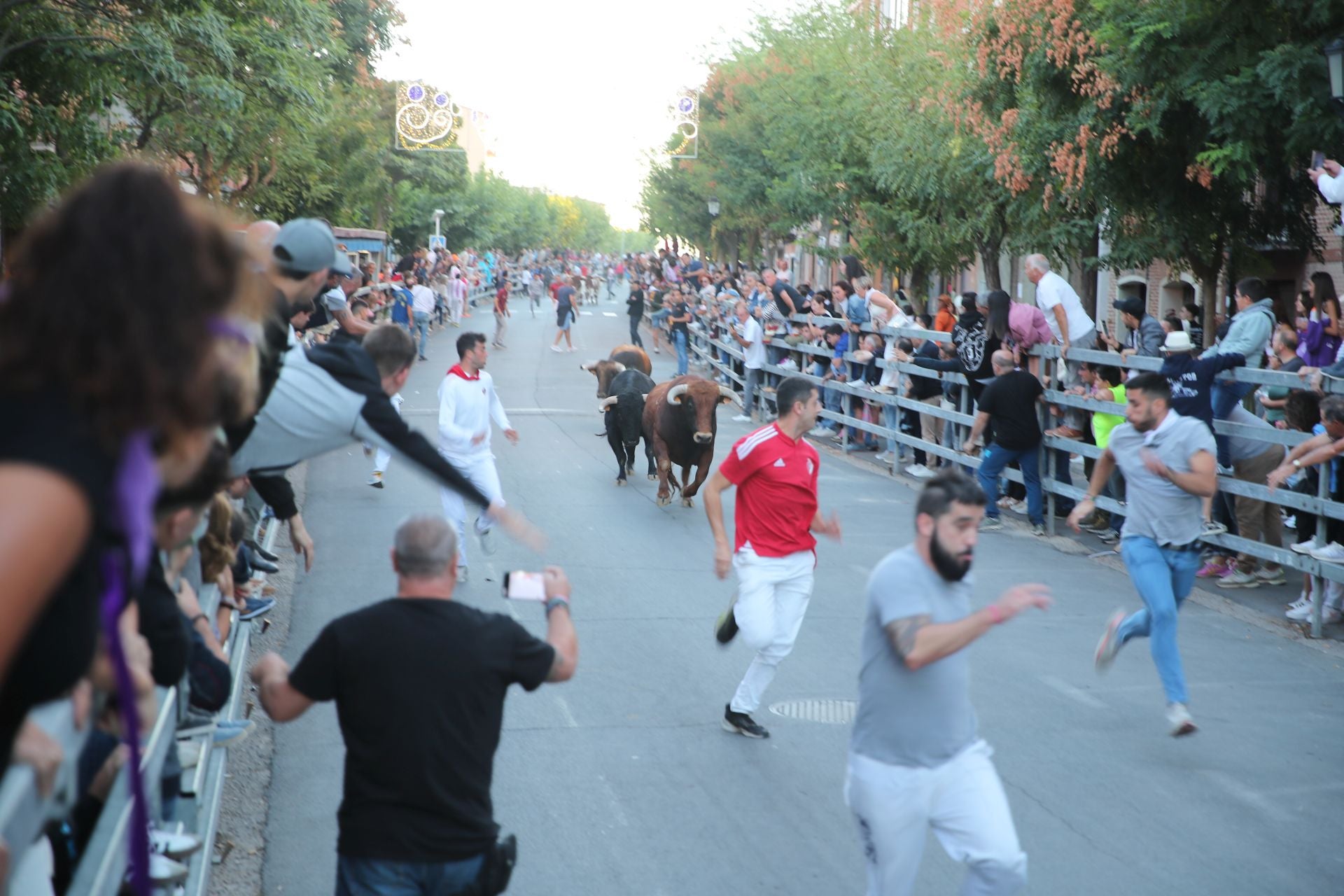 El encierro de Medina del Campo, en imágenes