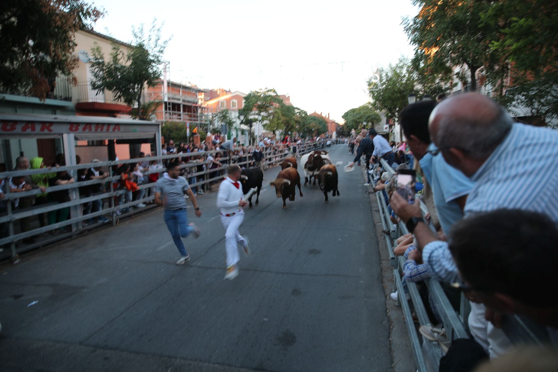 El encierro de Medina del Campo, en imágenes