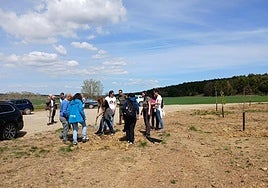 Plantación en el marco del proyecto Bosque modelo.