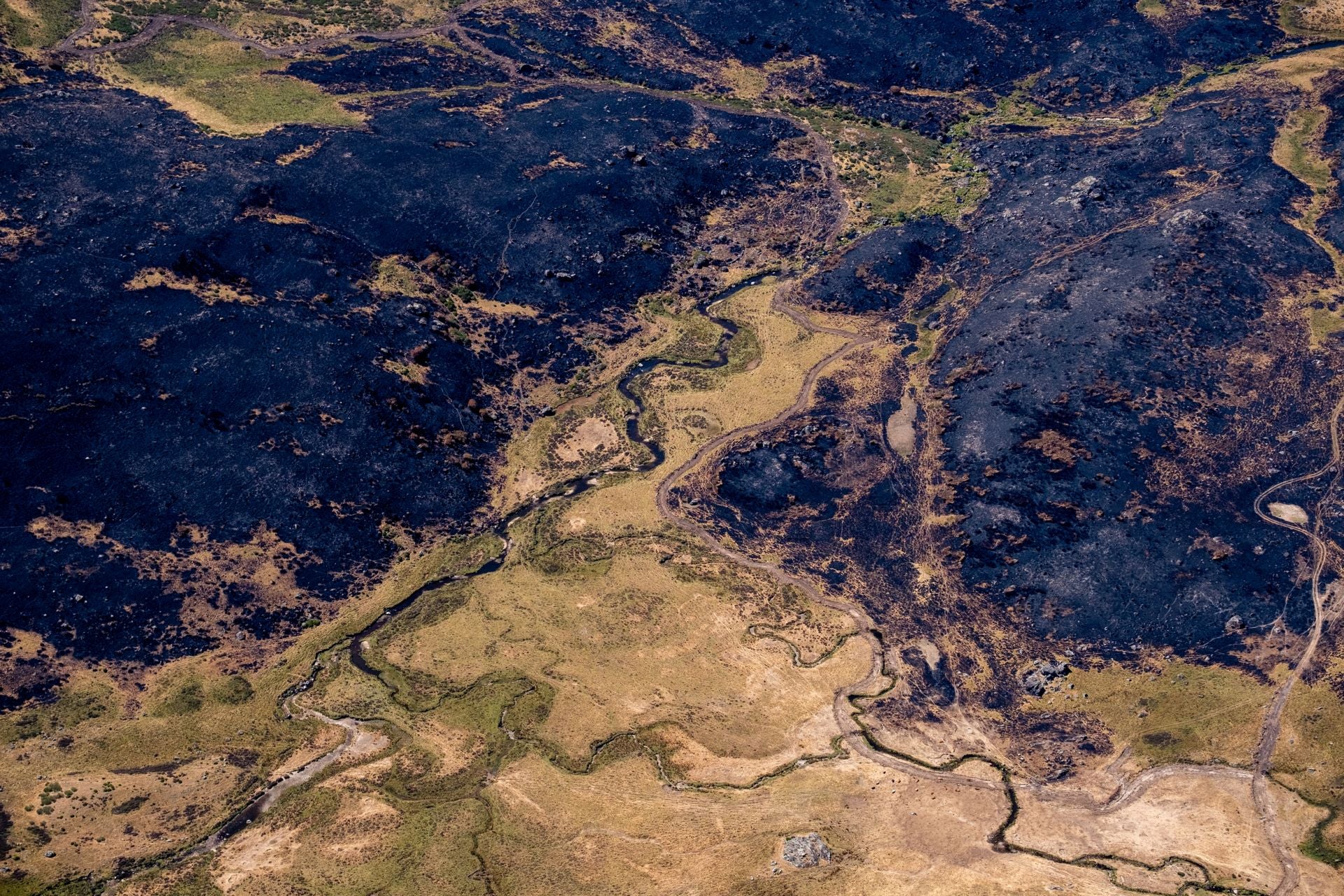 Embalse de Cárdena, en el Parque natural de Lago de Sanabria y las sierras Segundera y de Porto. Zamora.