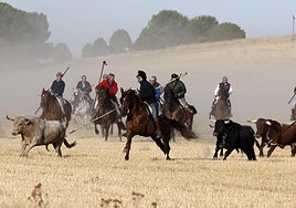 Un grupo de caballistas arropa a la manada durante el primer encierro de Medina.