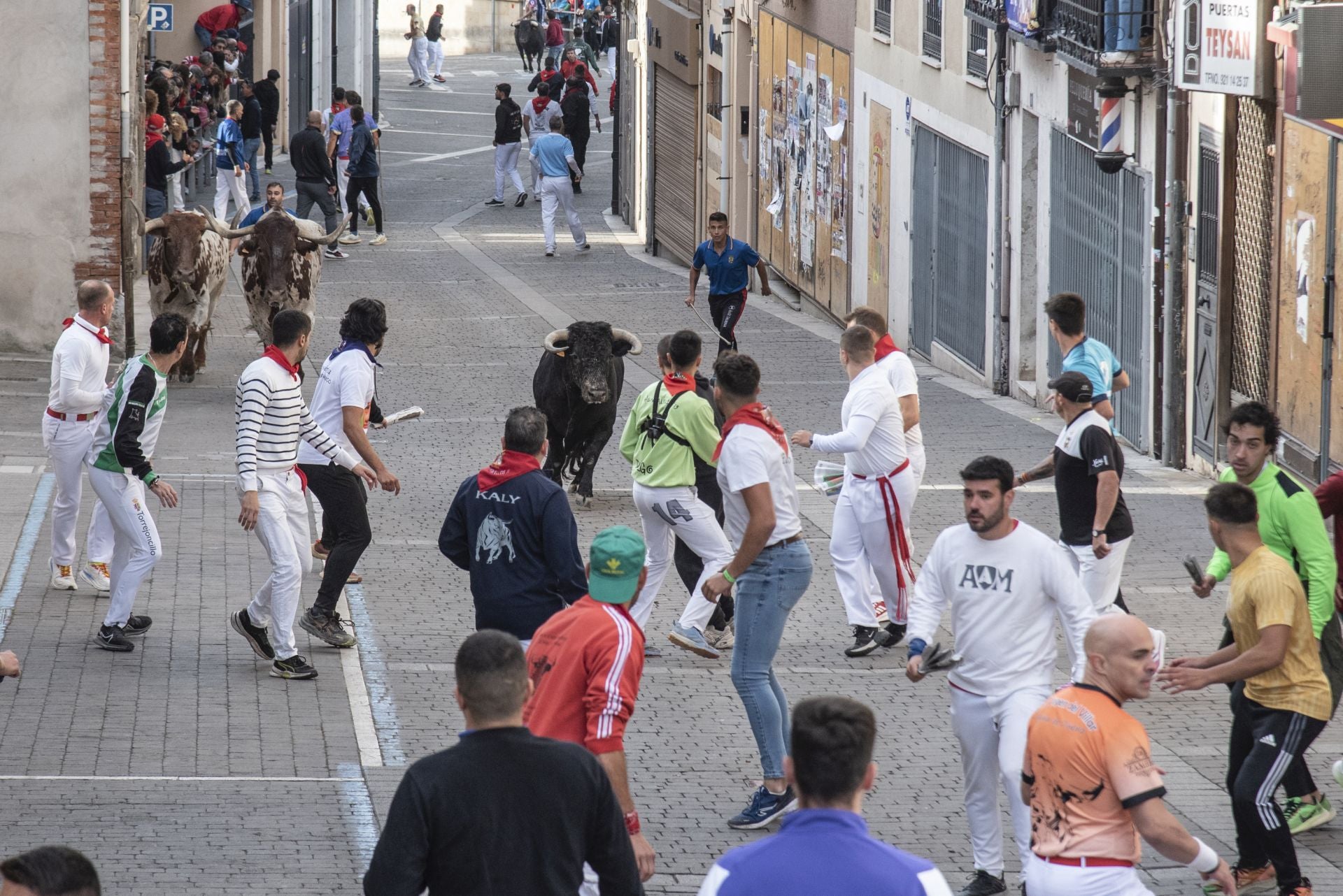 Fotos del tercer encierro de Cuéllar por las calles de la villa
