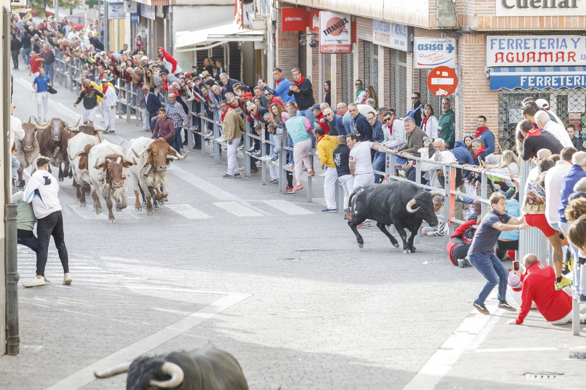 Fotos del tercer encierro de Cuéllar por las calles de la villa