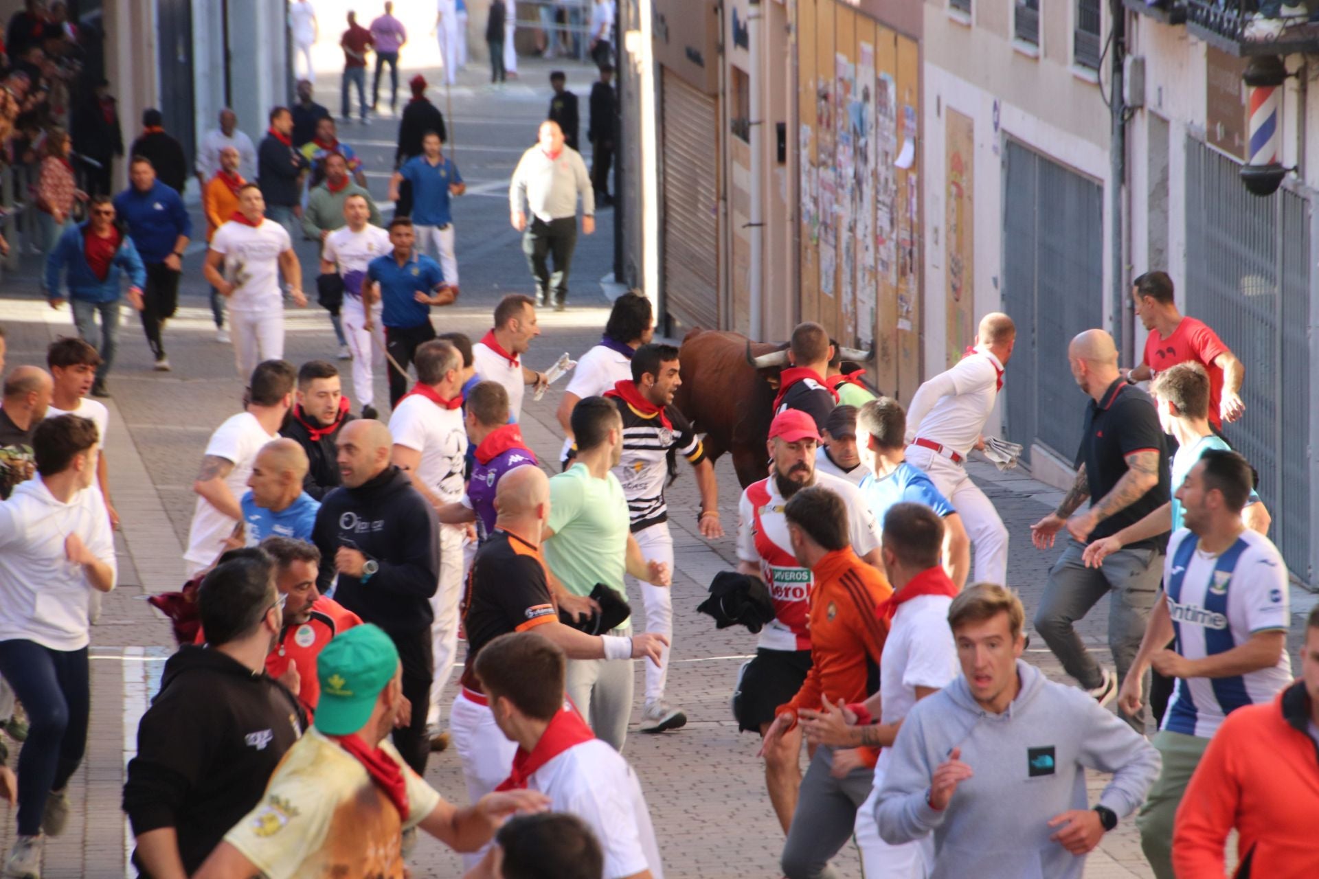 Fotos del cuarto encierro por las calles de Cuéllar