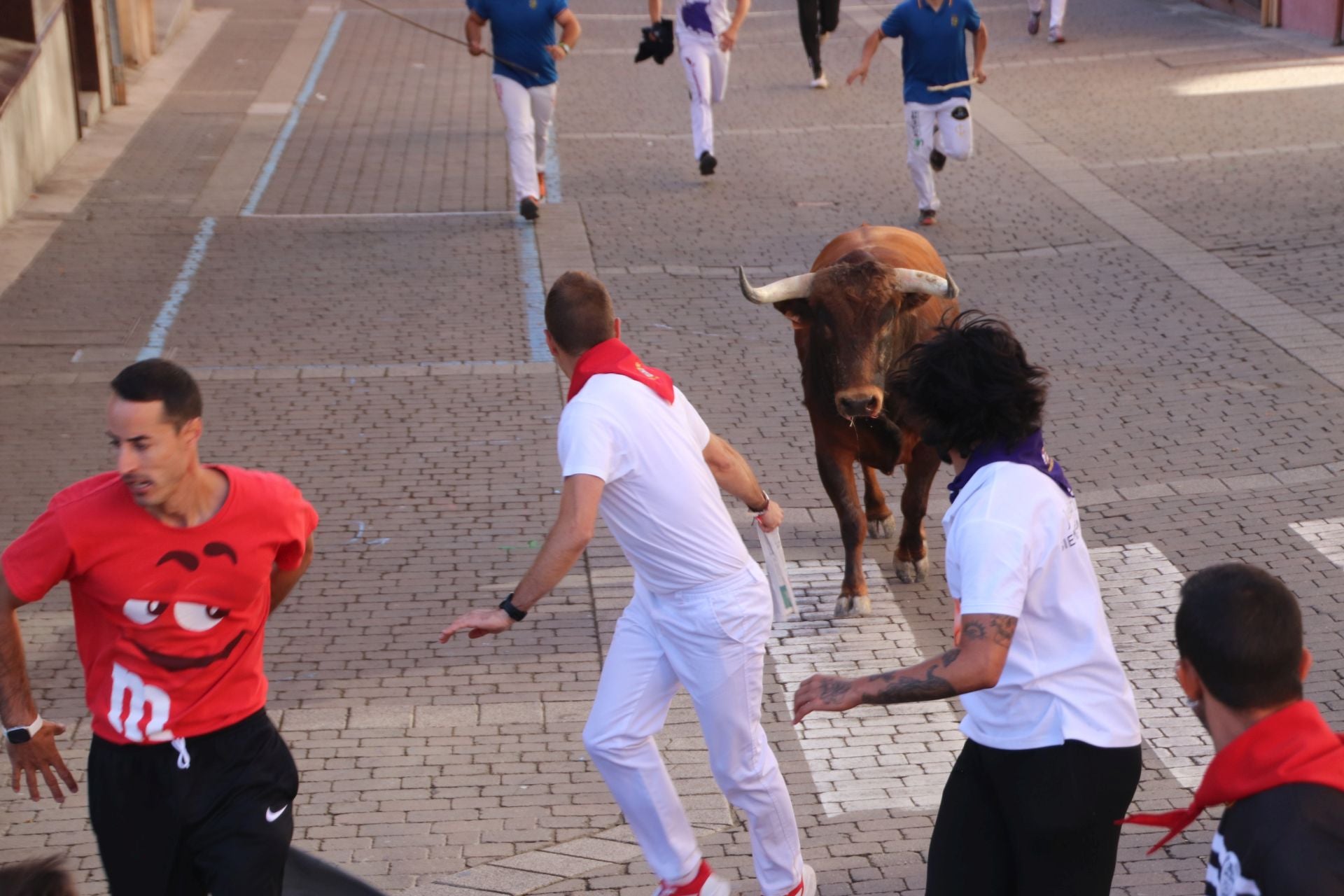 Fotos del cuarto encierro por las calles de Cuéllar