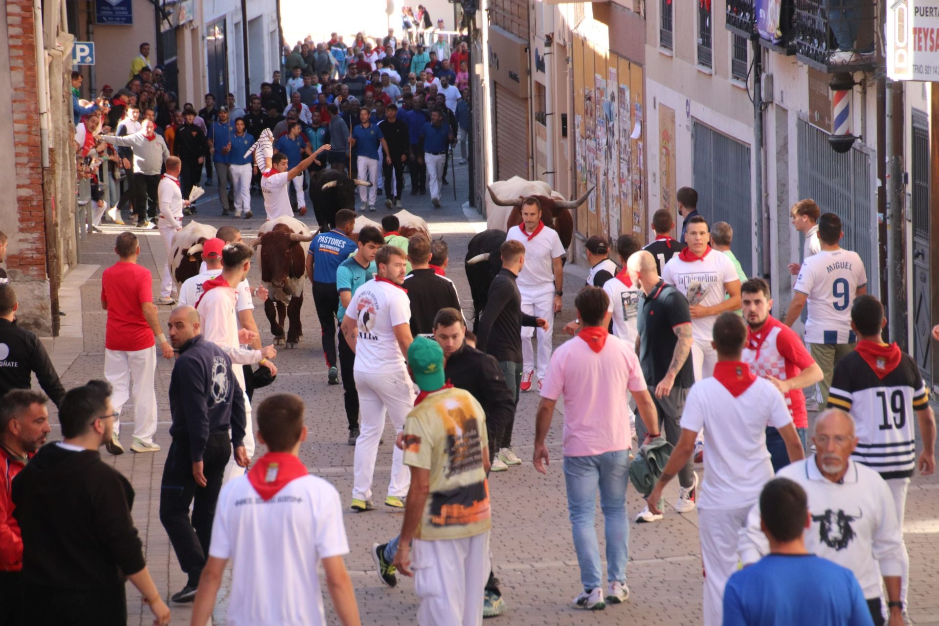 Fotos del cuarto encierro por las calles de Cuéllar