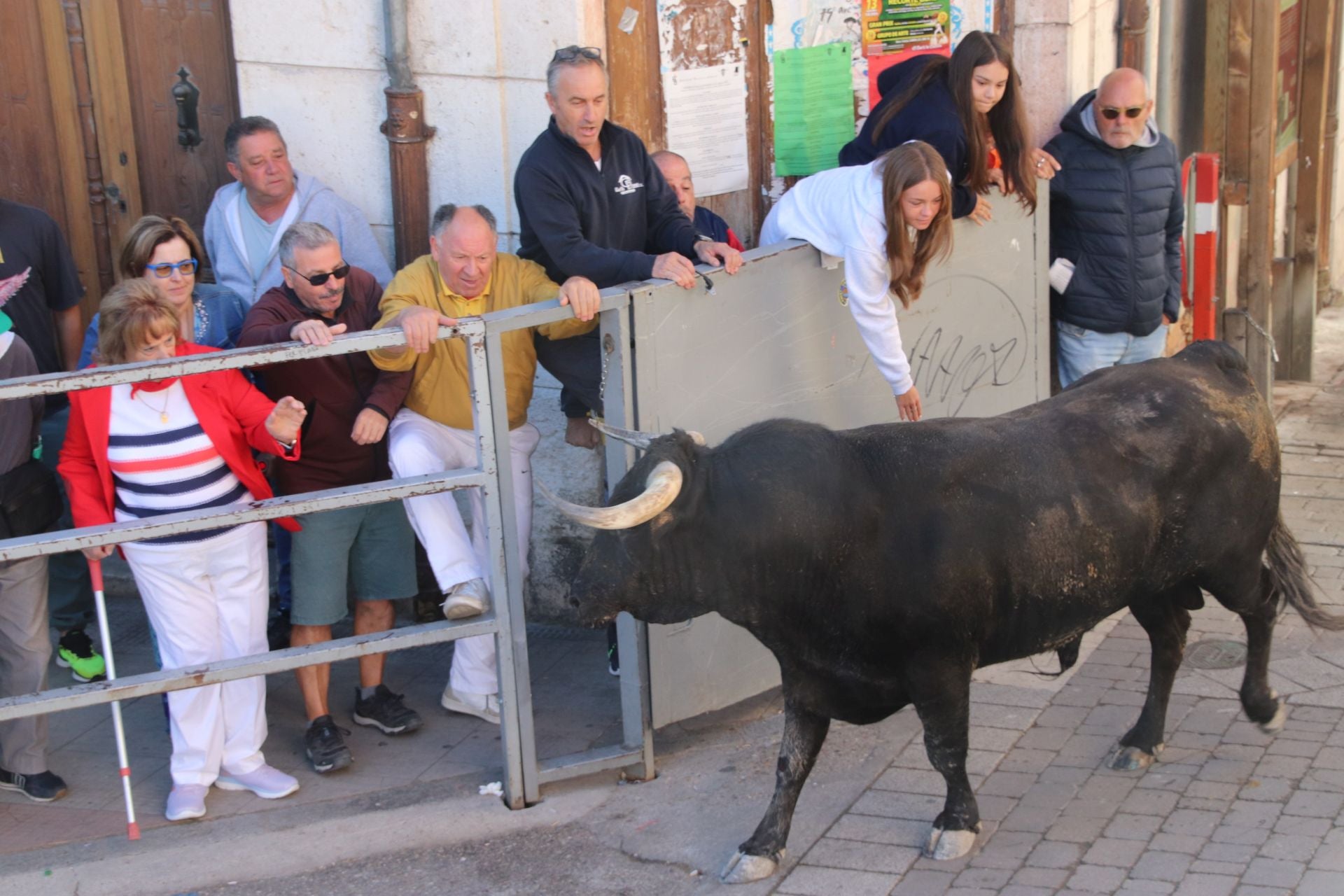Fotos del cuarto encierro por las calles de Cuéllar