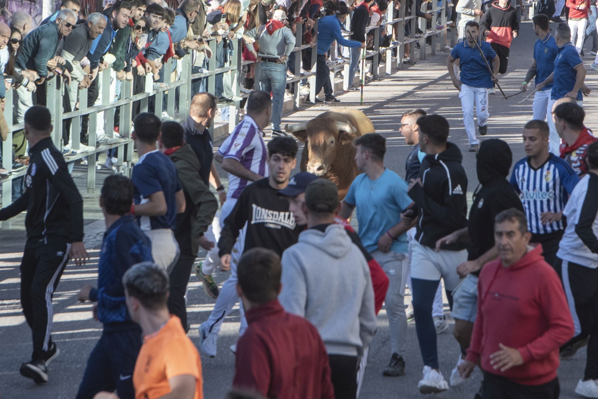 Fotos del cuarto encierro por las calles de Cuéllar