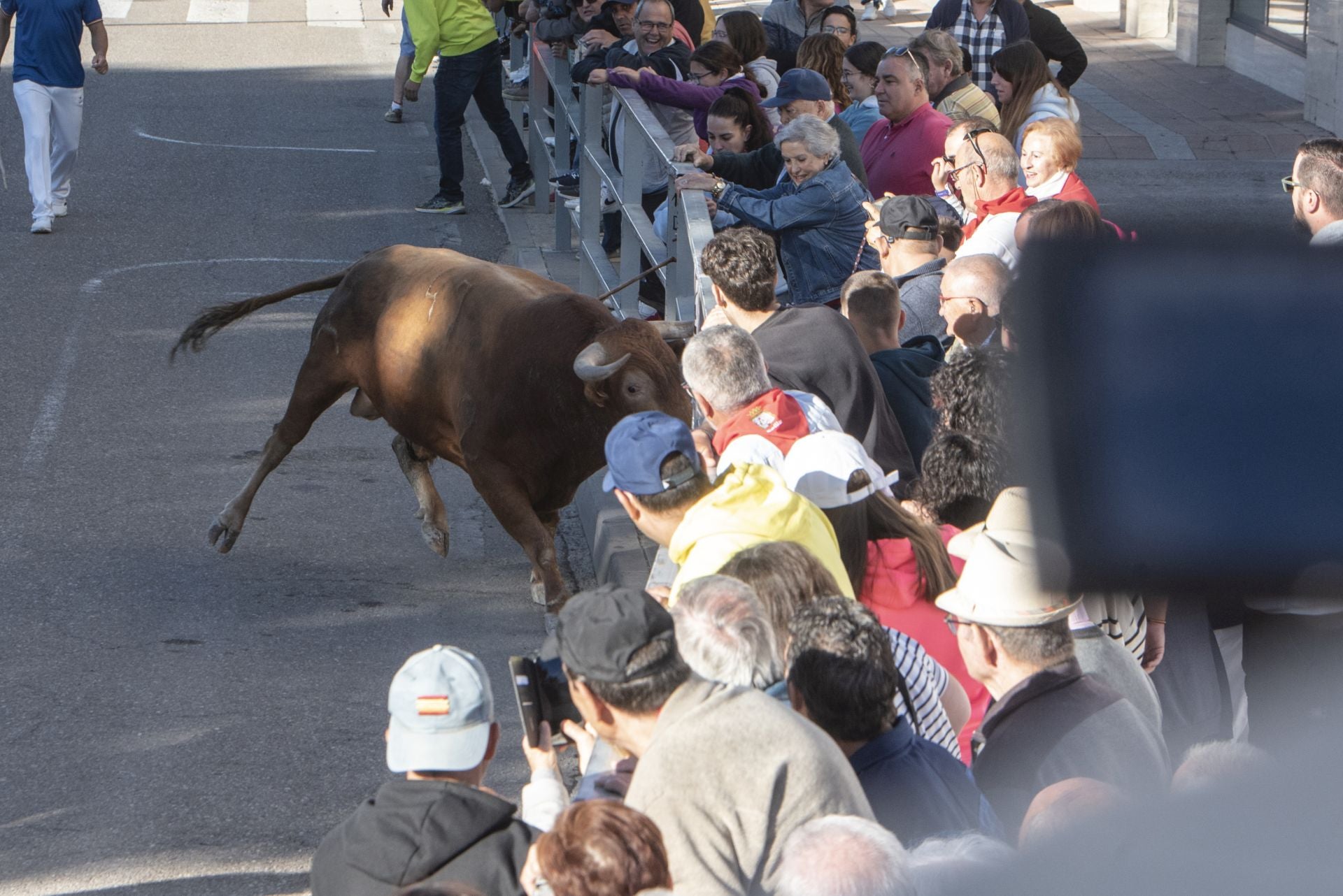 Fotos del cuarto encierro por las calles de Cuéllar