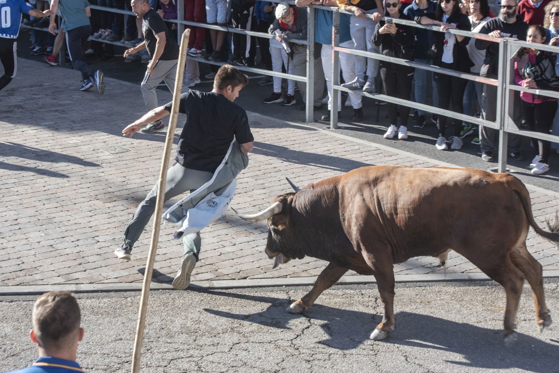 Fotos del cuarto encierro por las calles de Cuéllar