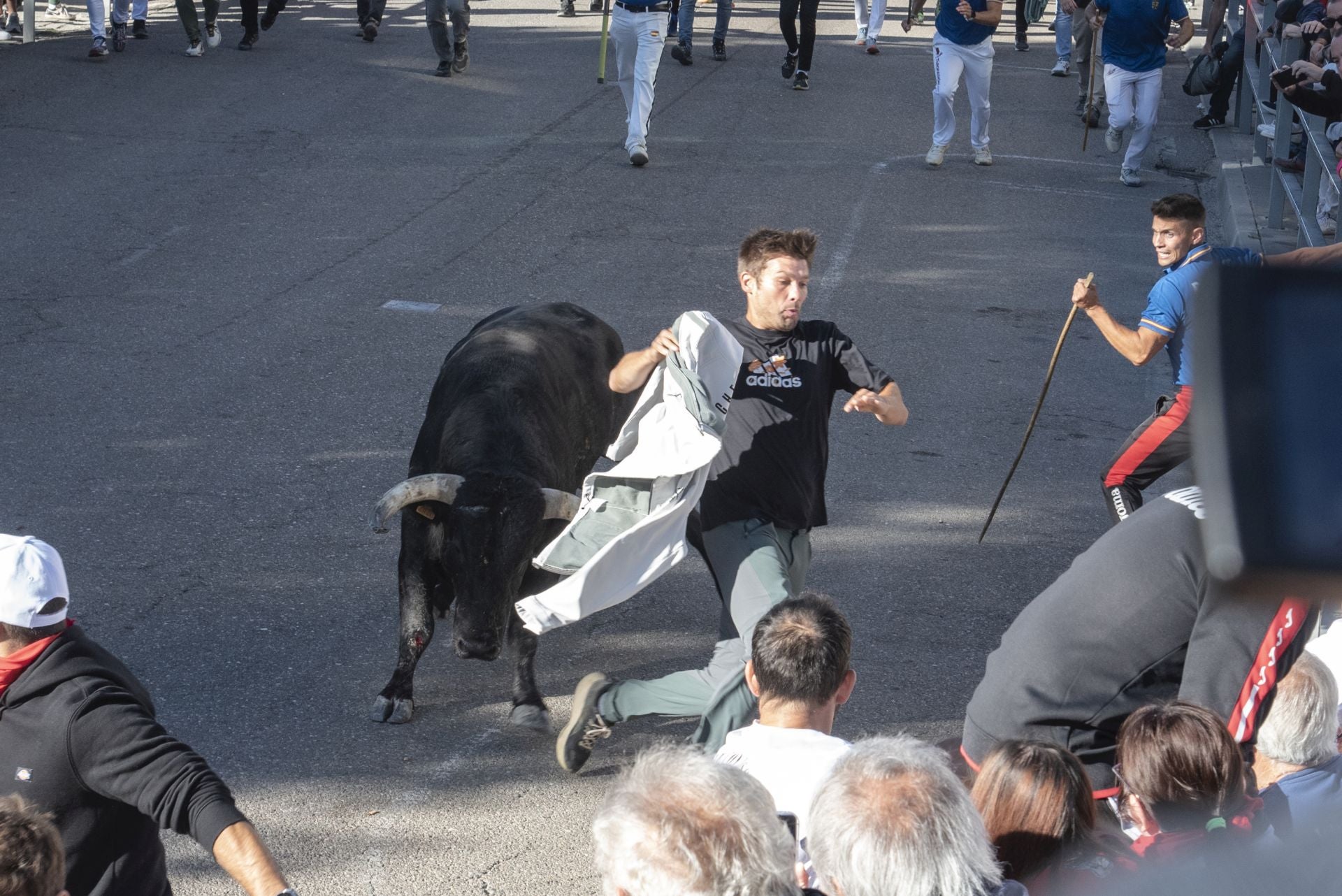 Fotos del cuarto encierro por las calles de Cuéllar