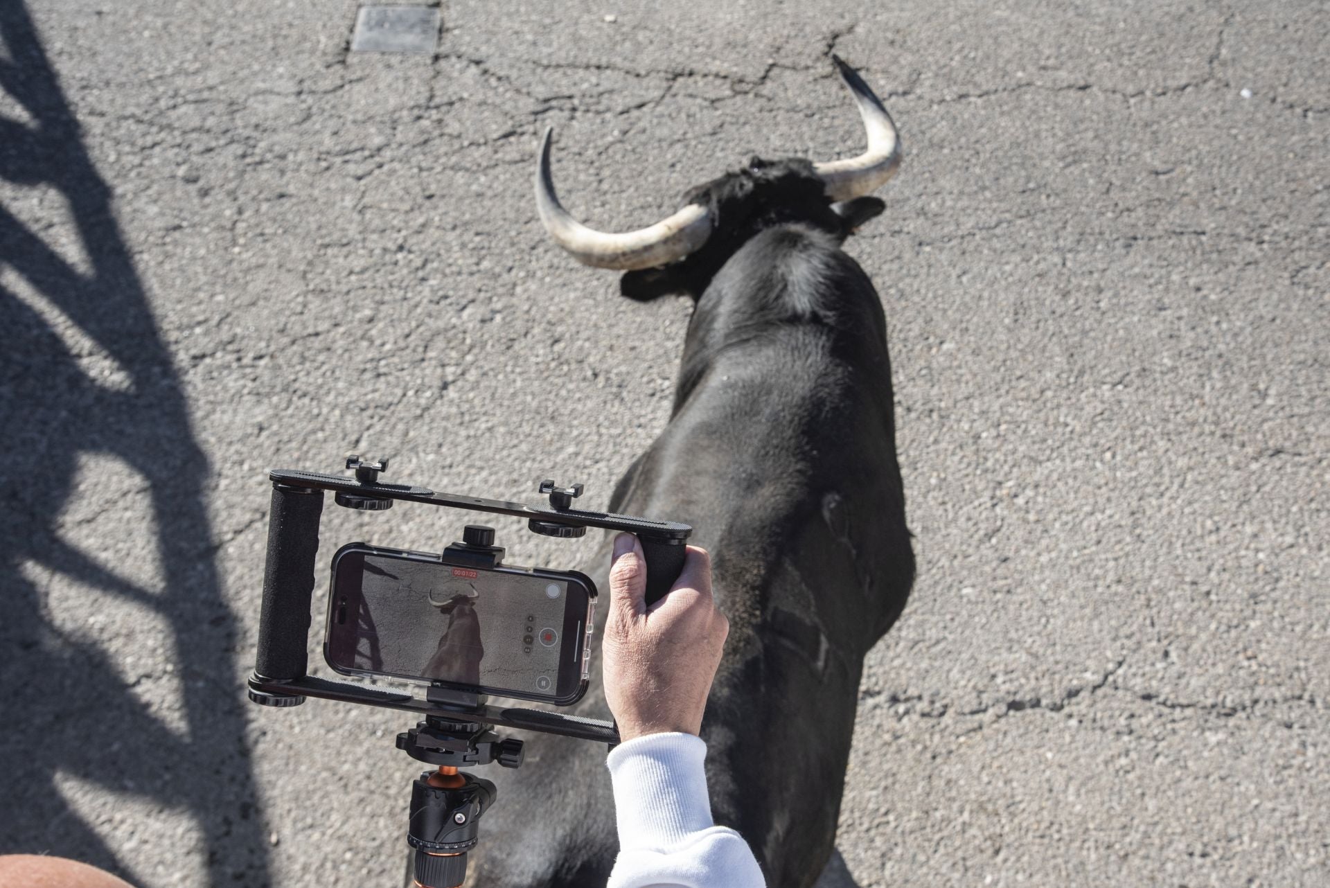 Fotos del cuarto encierro por las calles de Cuéllar