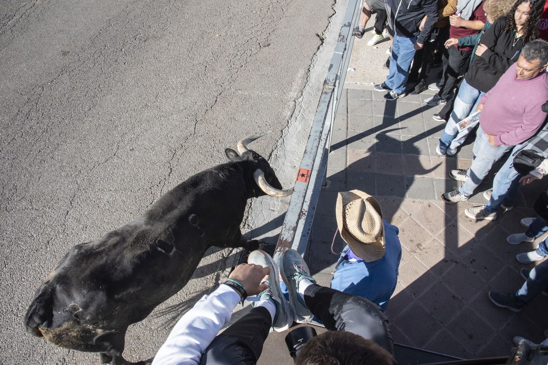 Fotos del cuarto encierro por las calles de Cuéllar