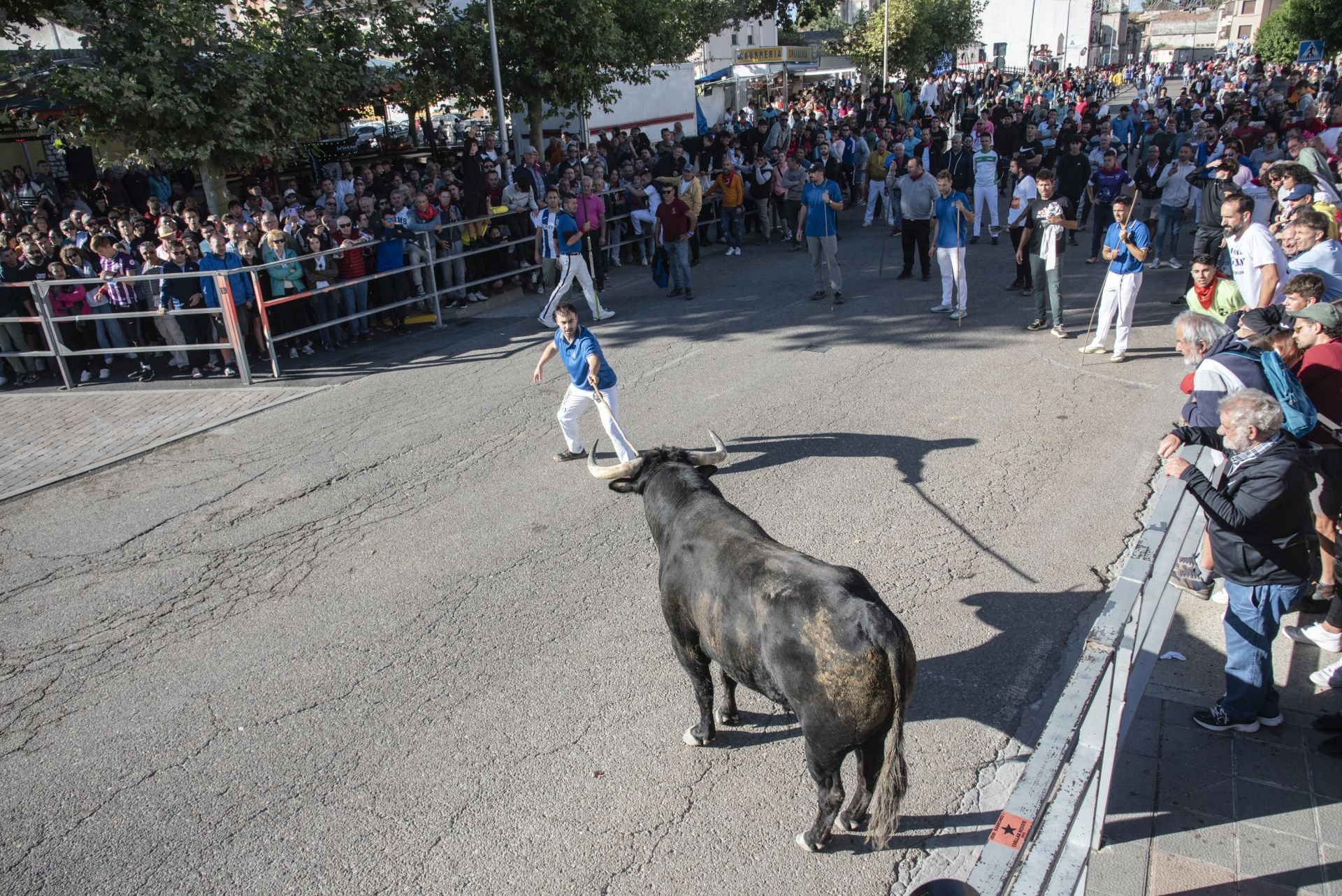Fotos del cuarto encierro por las calles de Cuéllar