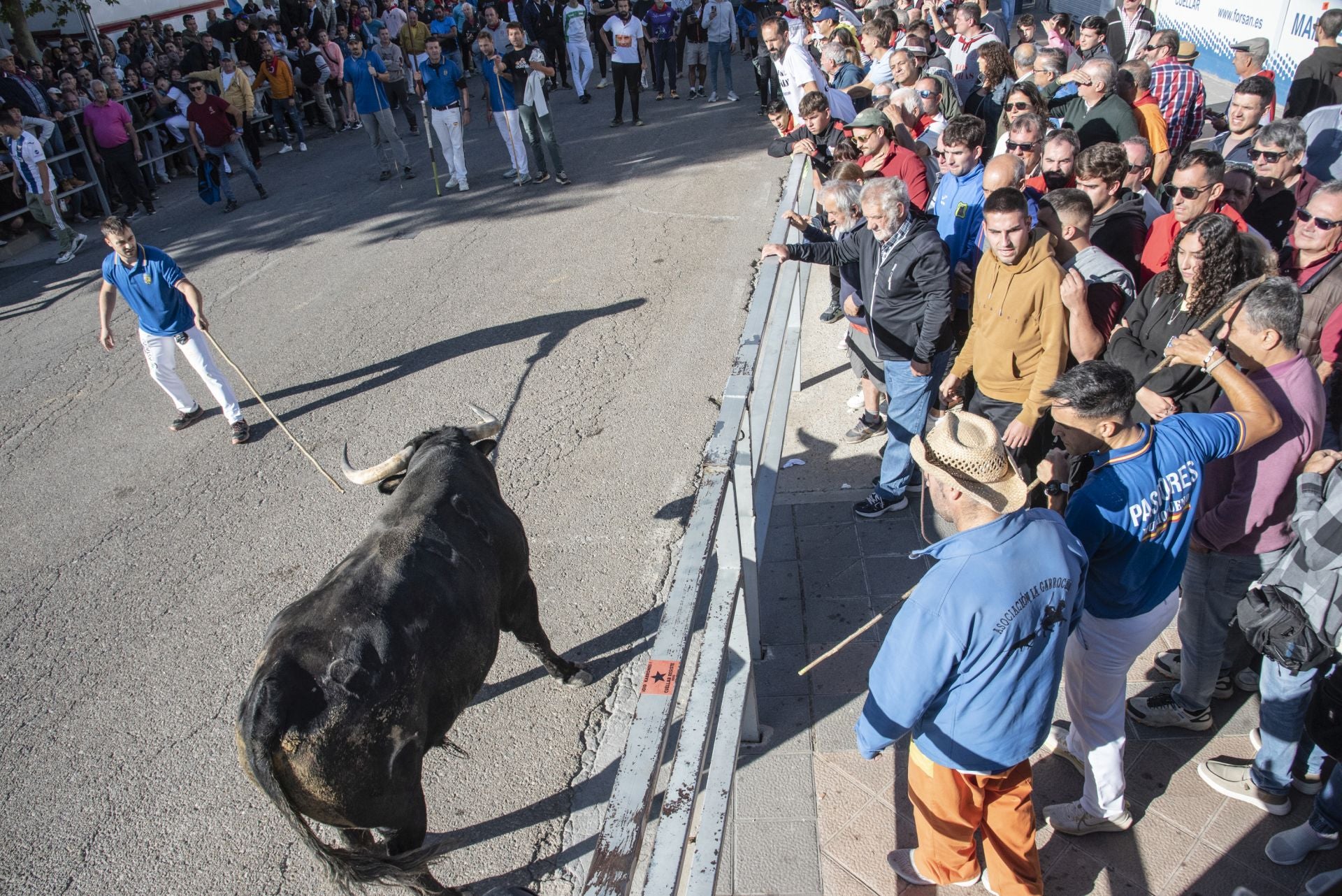 Fotos del cuarto encierro por las calles de Cuéllar