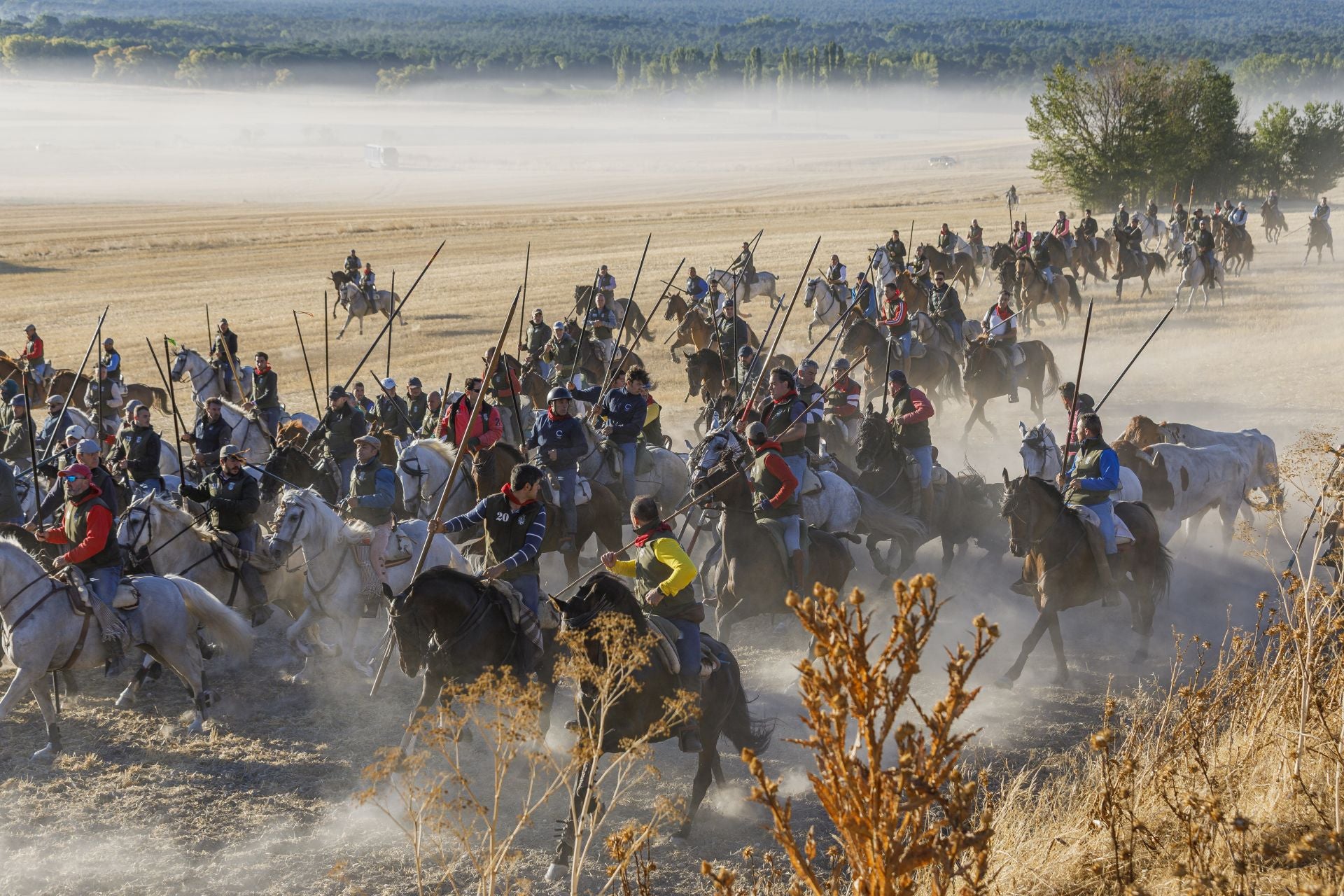 Fotos del cuarto encierro de Cuéllar por el campo