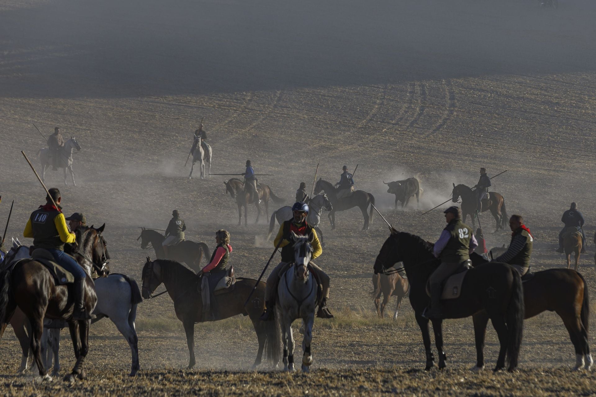 Fotos del cuarto encierro de Cuéllar por el campo
