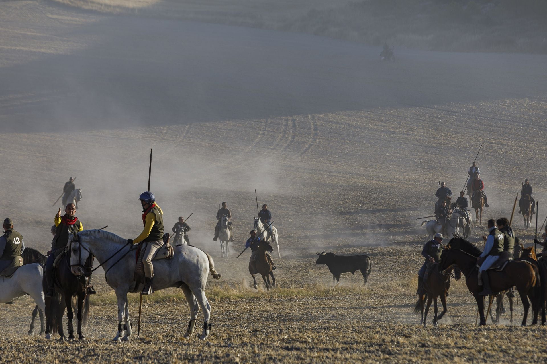 Fotos del cuarto encierro de Cuéllar por el campo