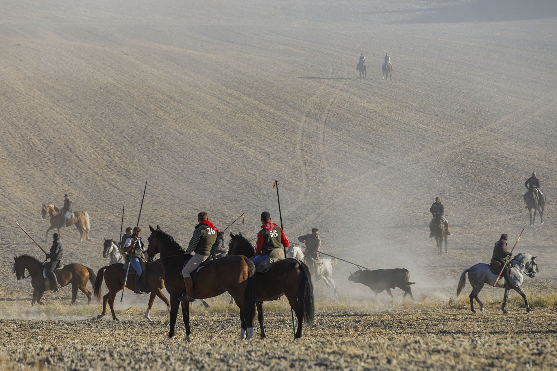 Fotos del cuarto encierro de Cuéllar por el campo