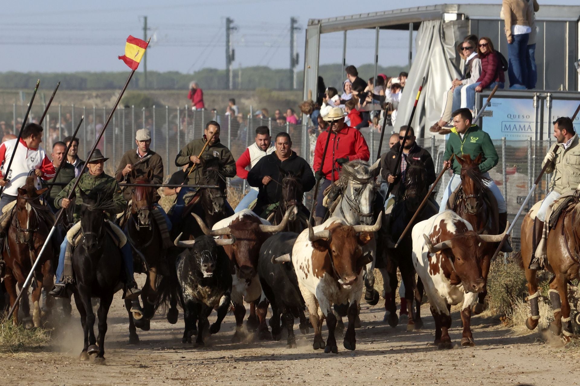 El encierro de Medina del Campo, en imágenes