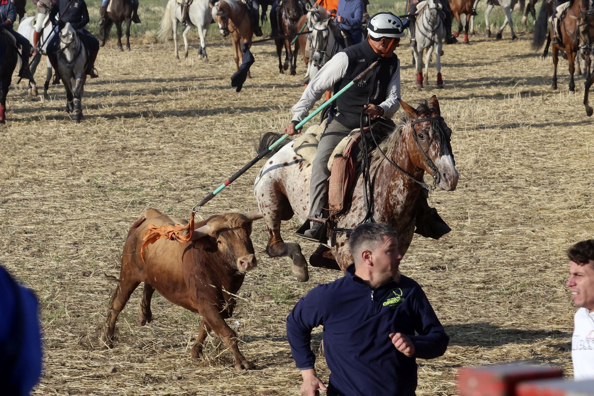 El encierro de Medina del Campo, en imágenes