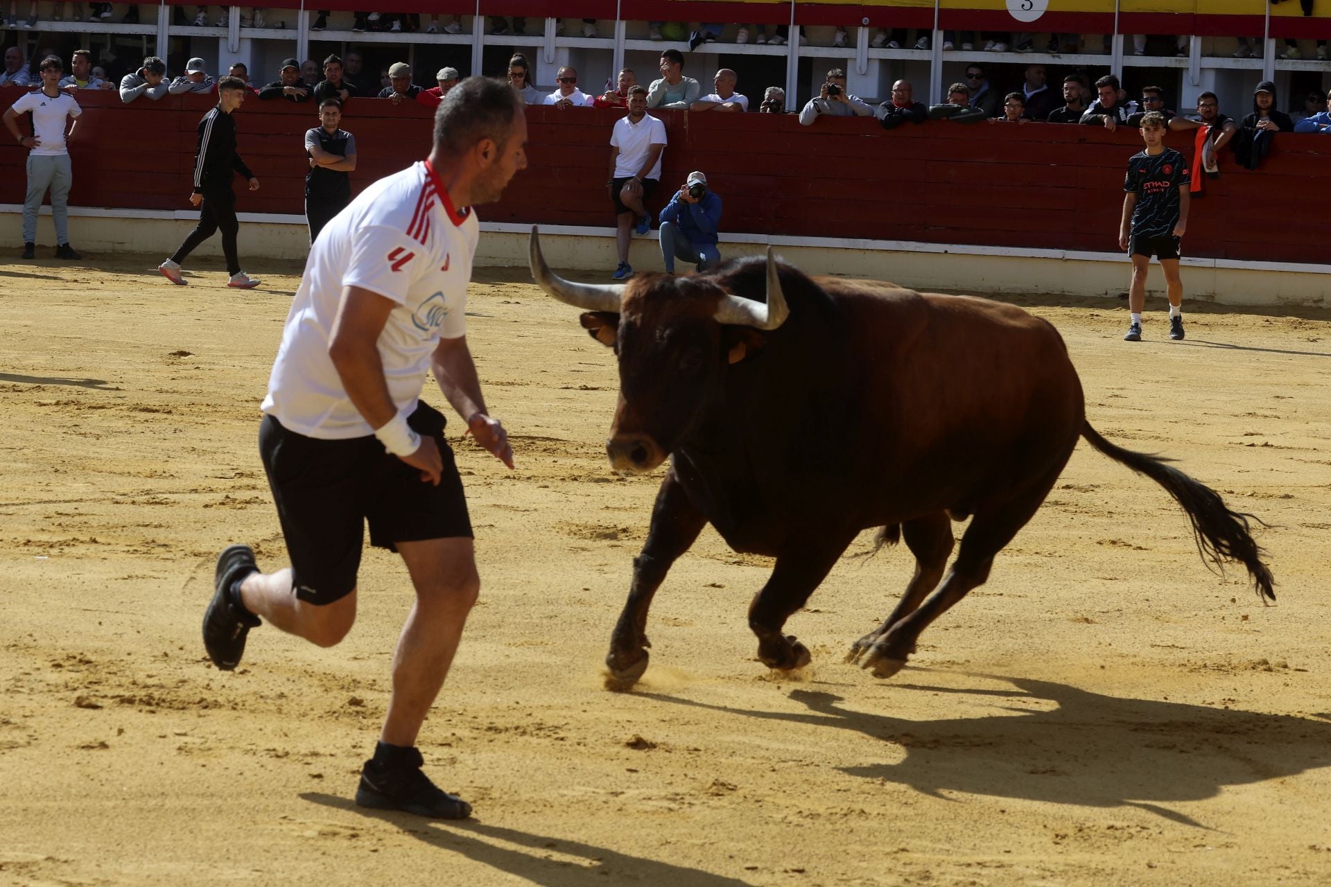El encierro de Medina del Campo, en imágenes