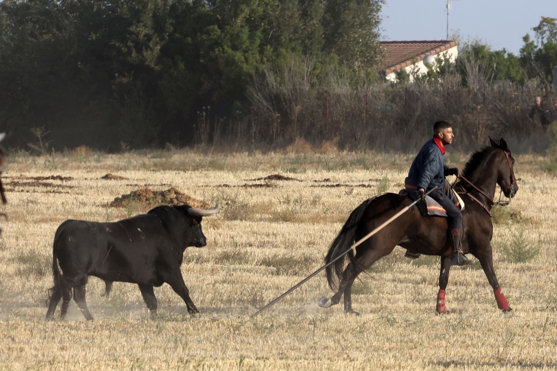 El encierro de Medina del Campo, en imágenes