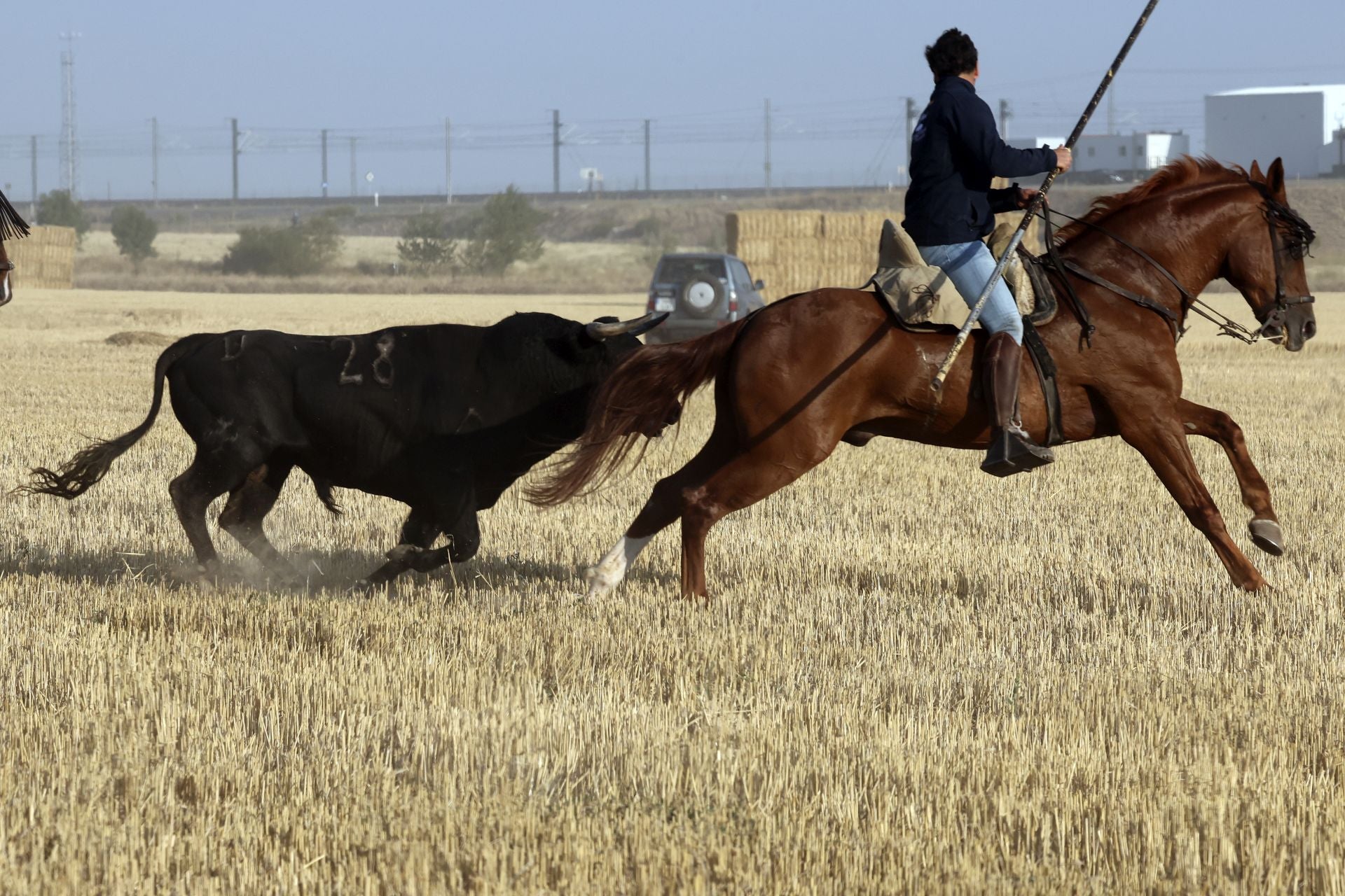 El encierro de Medina del Campo, en imágenes