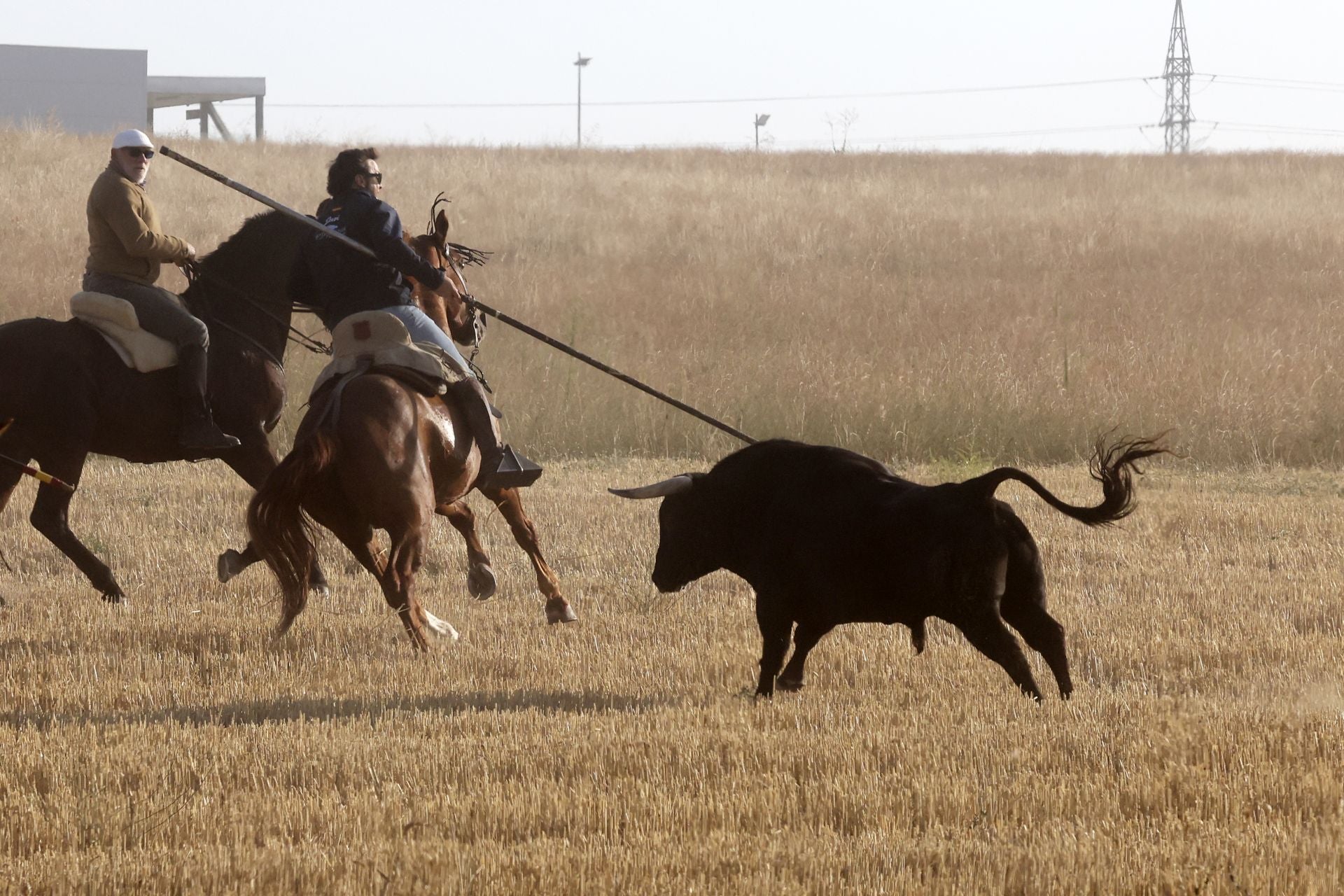 El encierro de Medina del Campo, en imágenes