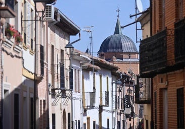 Investigan al dueño de un perro potencialmente peligroso que mató a un Yorkshire en Alaejos