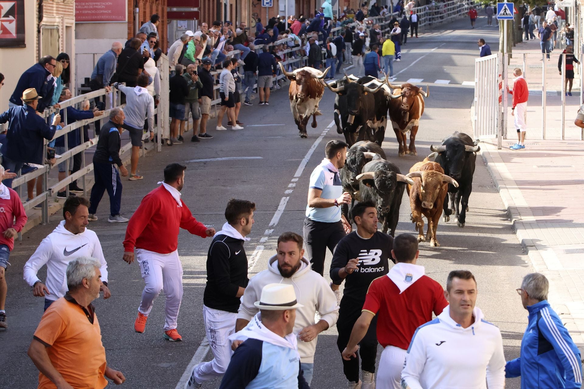 El encierro de Medina del Campo, en imágenes