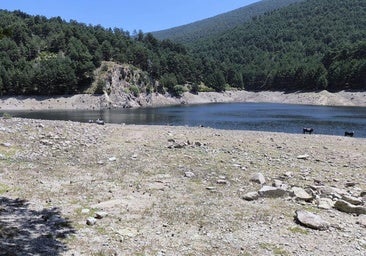 La CHD vaciará por completo el embalse de El Tejo el próximo jueves