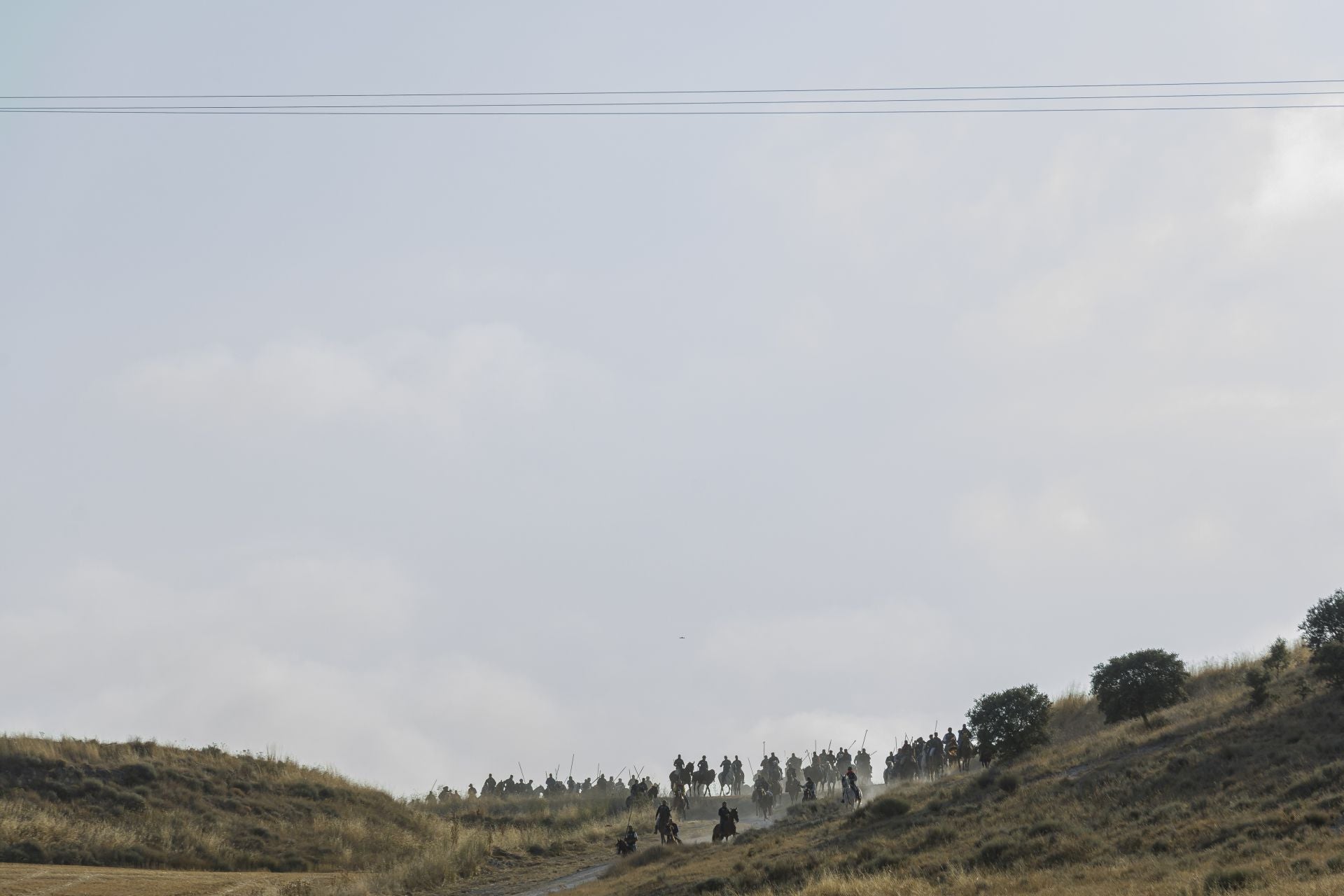 Fotografías del quinto encierro de Cuéllar en el campo
