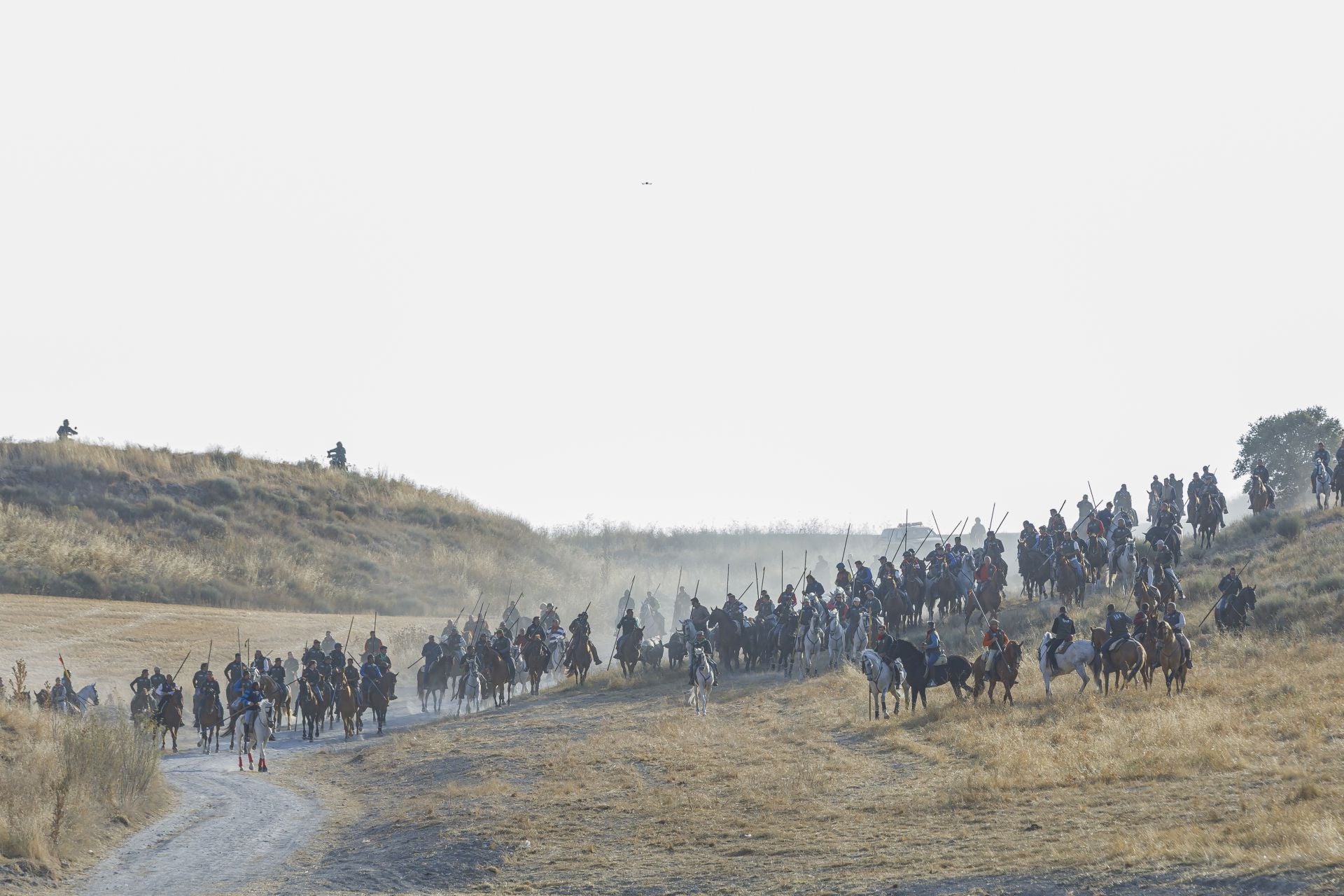 Fotografías del quinto encierro de Cuéllar en el campo