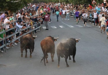 Medina del Campo disfruta con los bravos toros de Hermanos Martín Alonso
