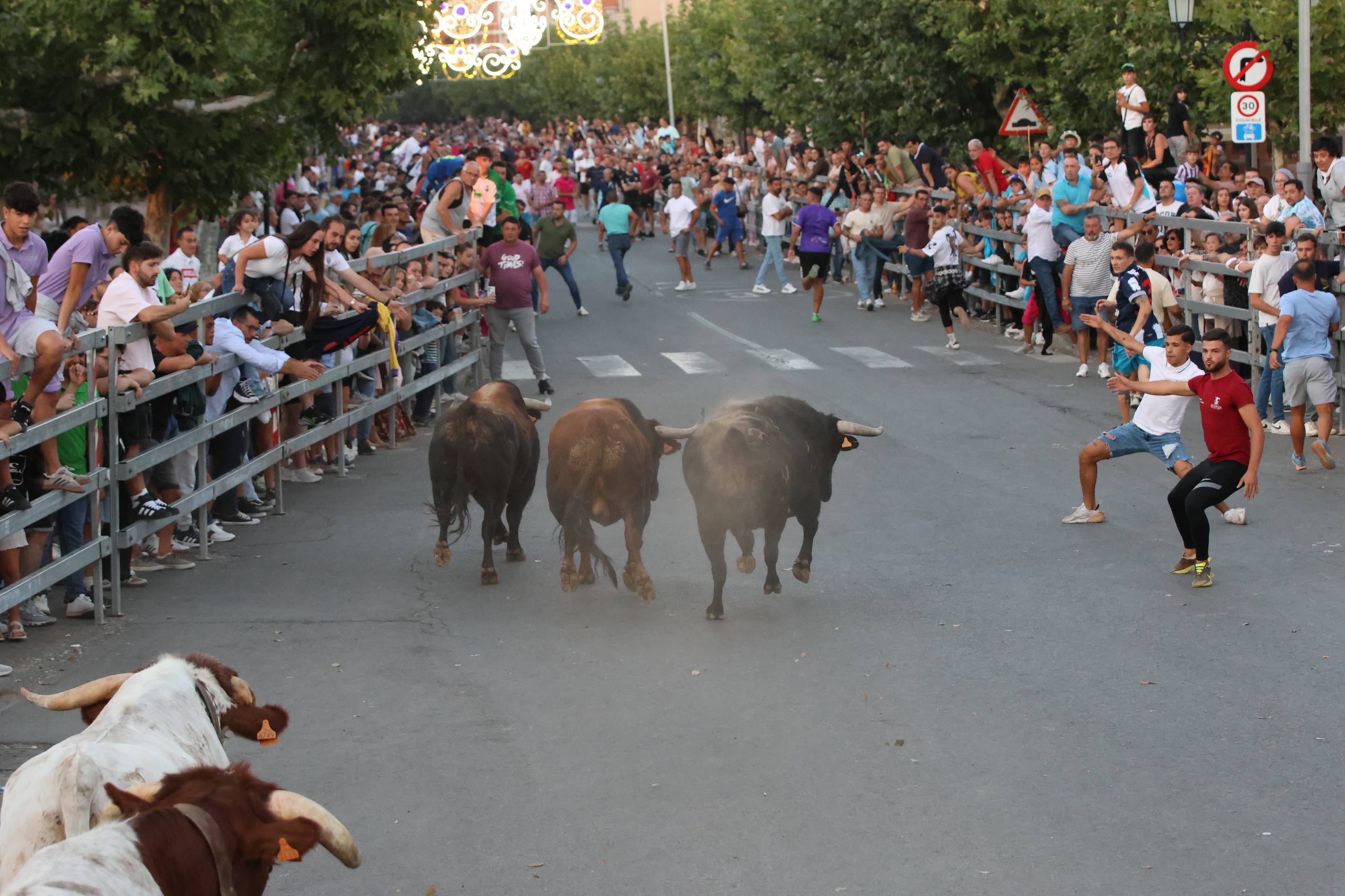 El encierro en Medina del Campo, en imágenes