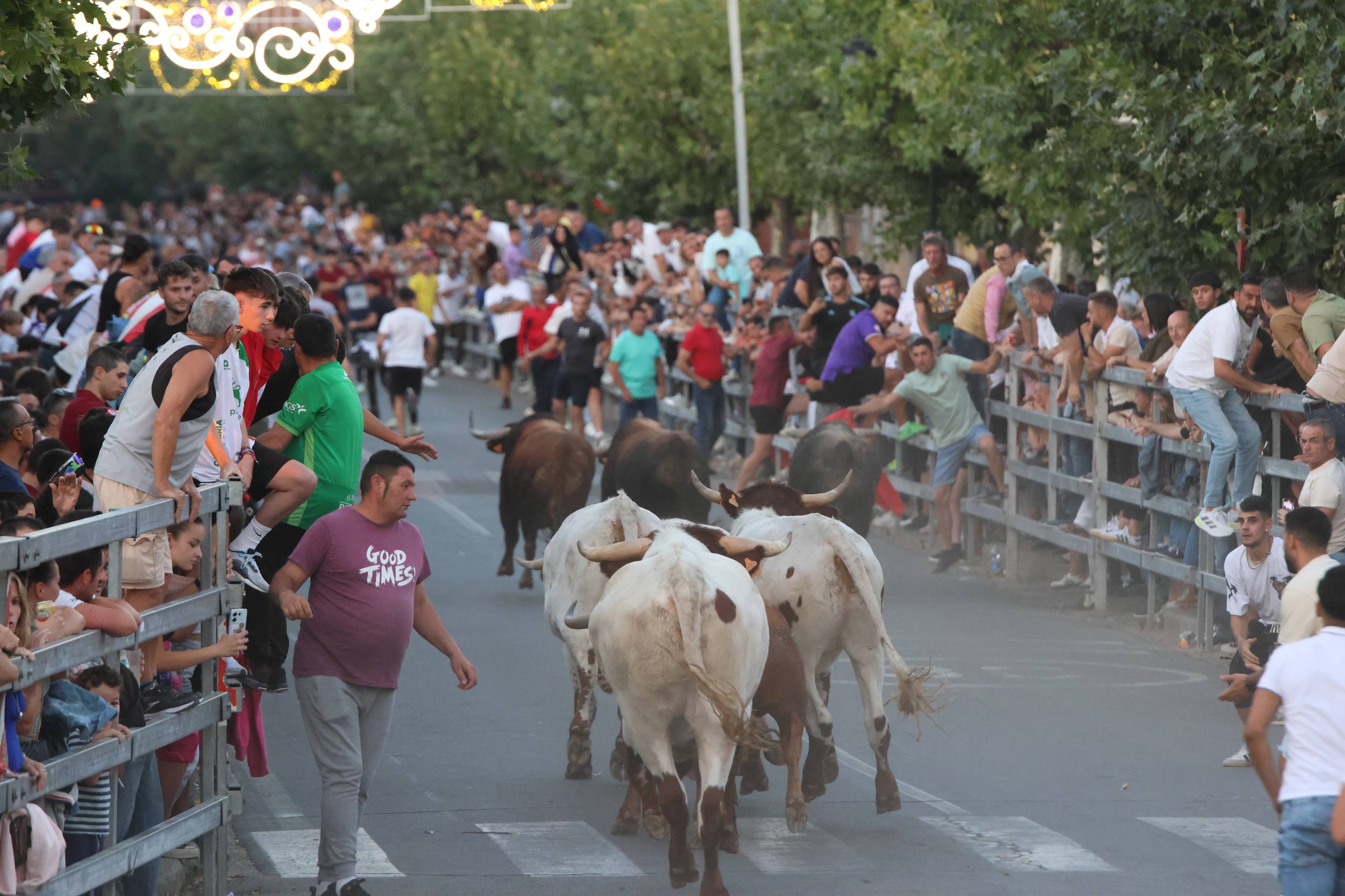 El encierro en Medina del Campo, en imágenes