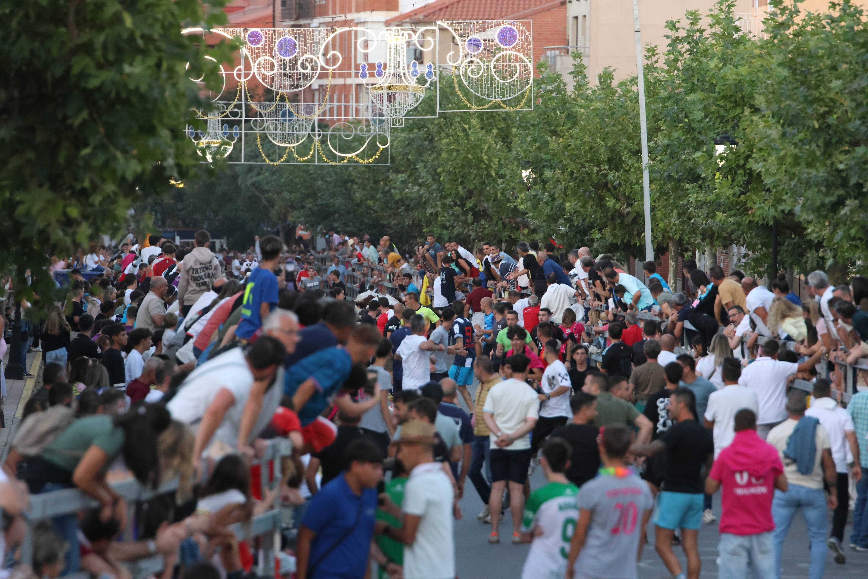 El encierro en Medina del Campo, en imágenes